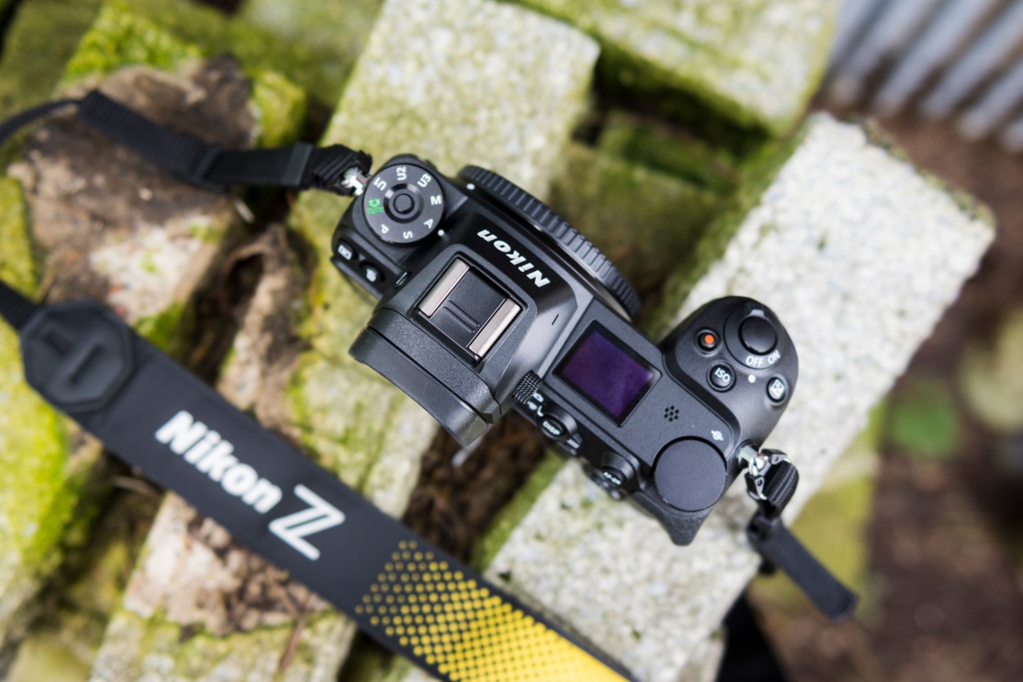 Nikon Z7 Review: A Top-Tier Mirrorless That Gets Nearly Everything Right