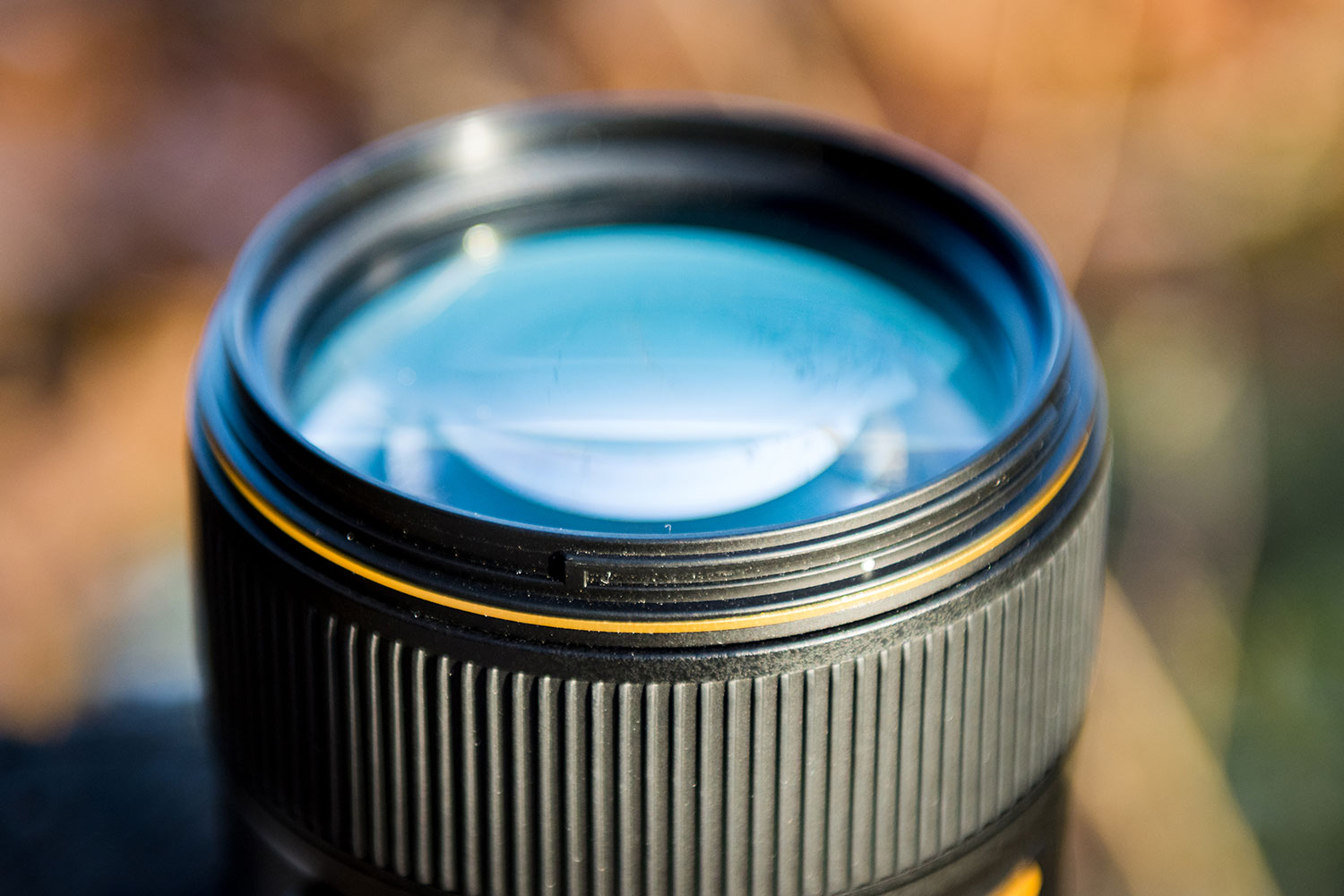 Nikon 105mm f/1.4E ED Review: Incredibly Close to the Perfect Lens