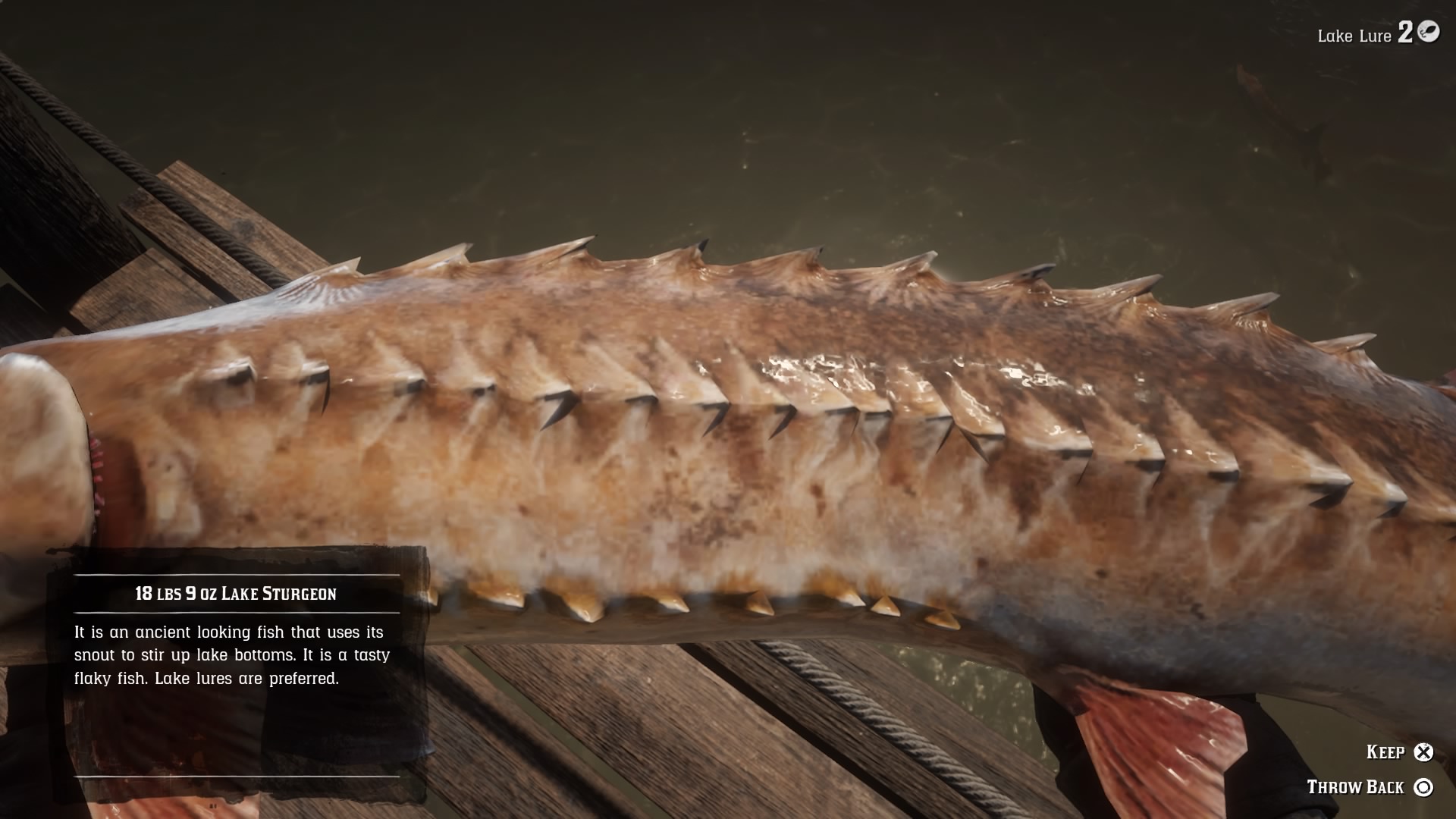 Red Dead Redemption 2: How to Unlock Fishing, Find Fish