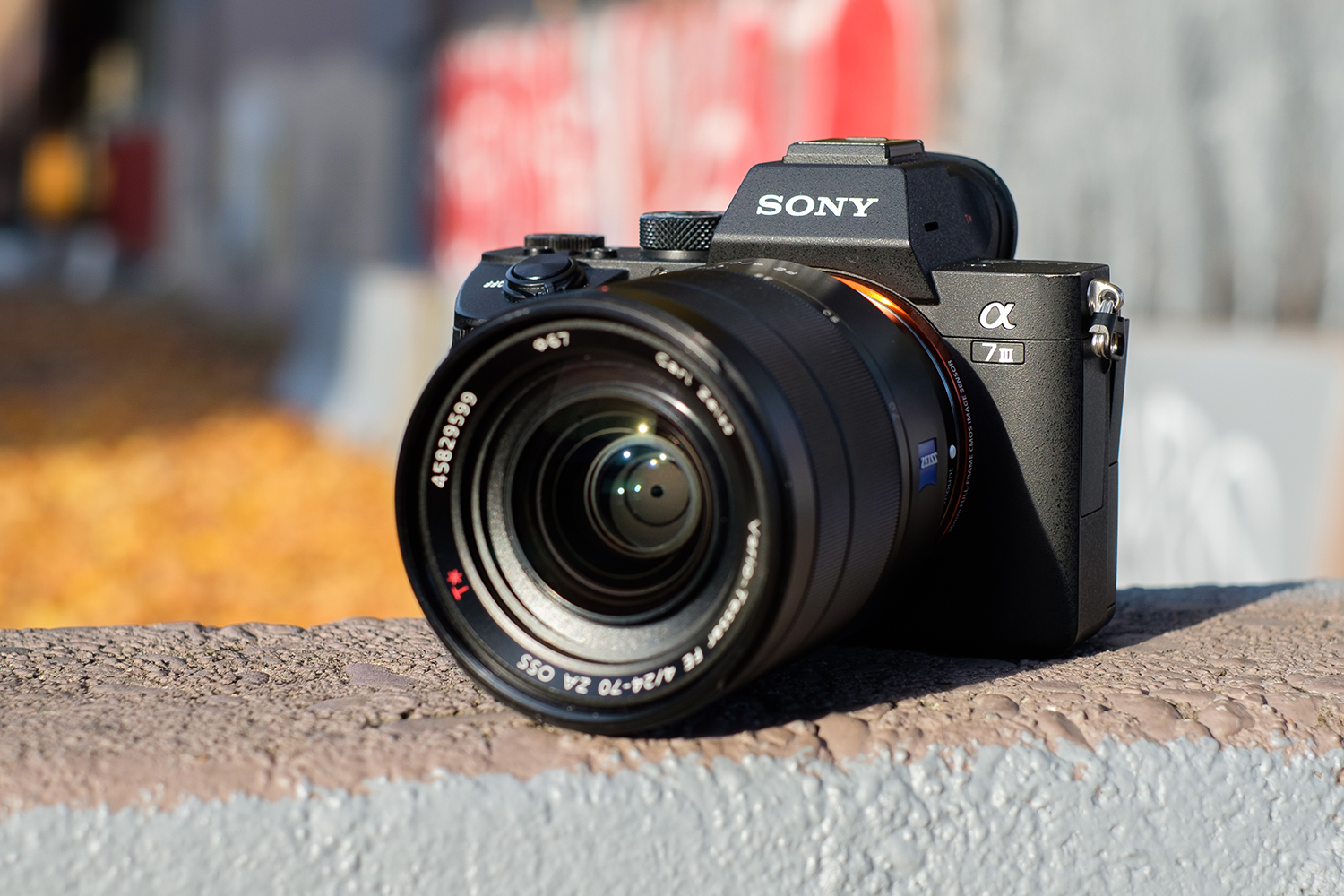 I Pitted Canon's 'Affordable' EOS RP Against My Beloved Sony A7 III