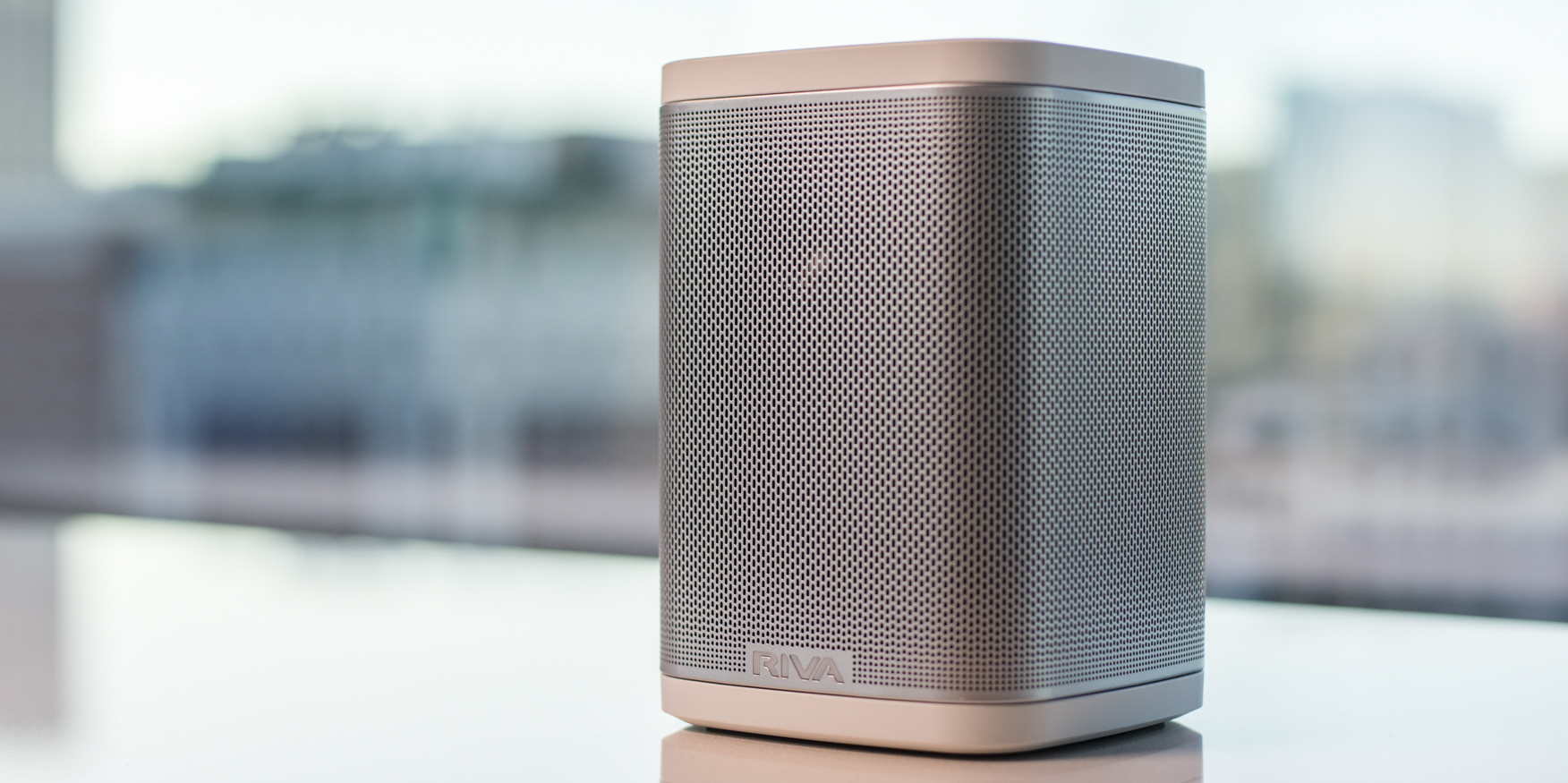 Riva concert cheap speaker review