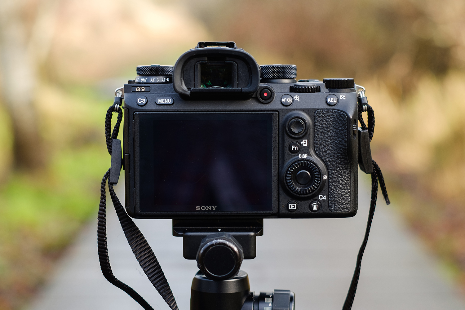 Sony a9 Full Review: Mirrorless Redefined: Digital Photography Review