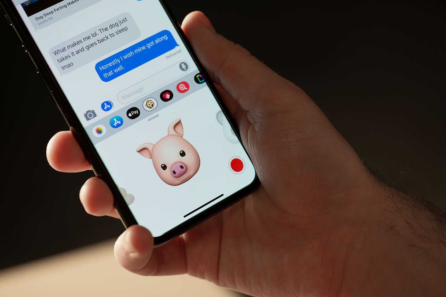 iMessage on an iPhone 11 Pro showing a text conversation with the keyboard showcasing a pig Animoji recording face movement