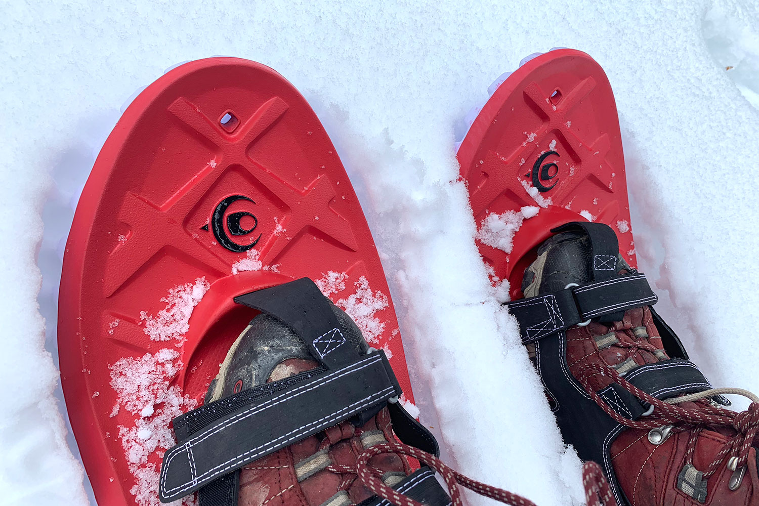 Crescent Moon Eva All-Foam V2 Snowshoe Review | Digital Trends