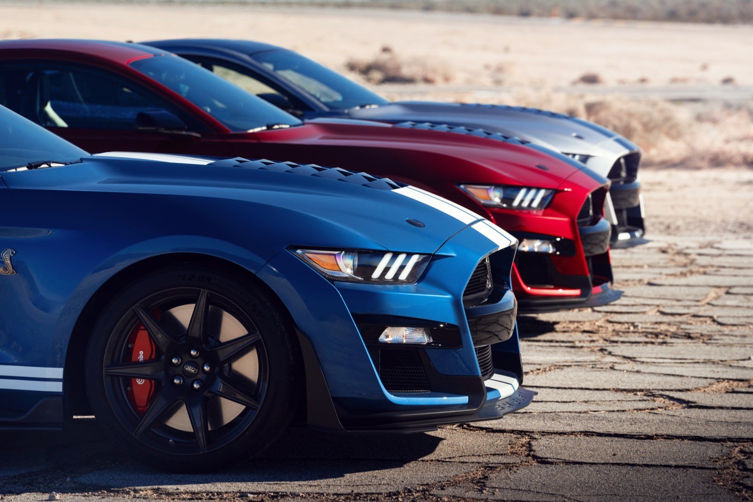 The 2020 Ford Mustang Shelby GT500 Debuts in Detroit – Robb Report