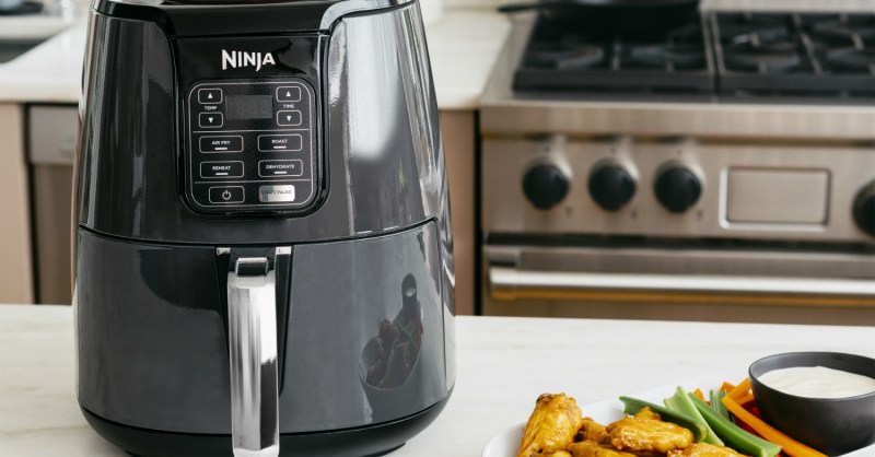 Ninja AF101 Air Fryer Review: Best Ninja Air Fryer Under $100 For Family of  4 