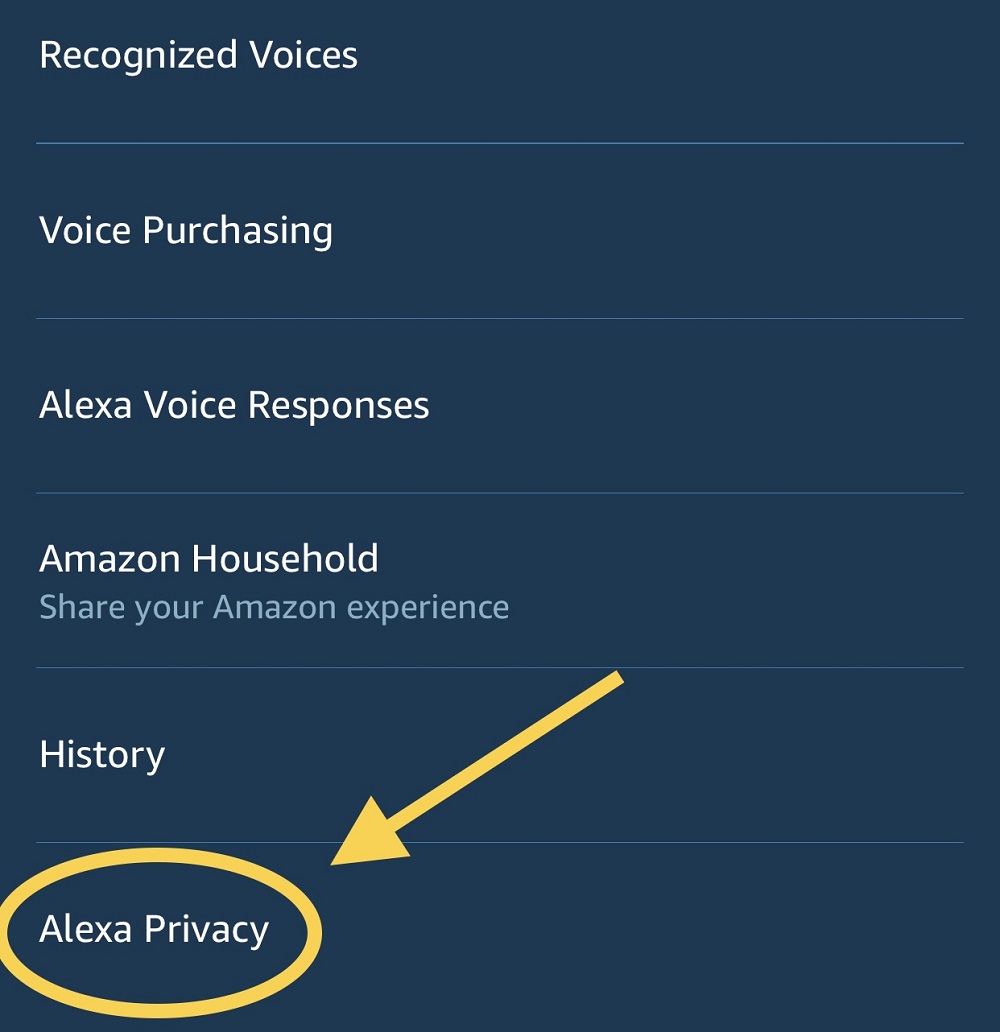 amazon echo dot privacy settings