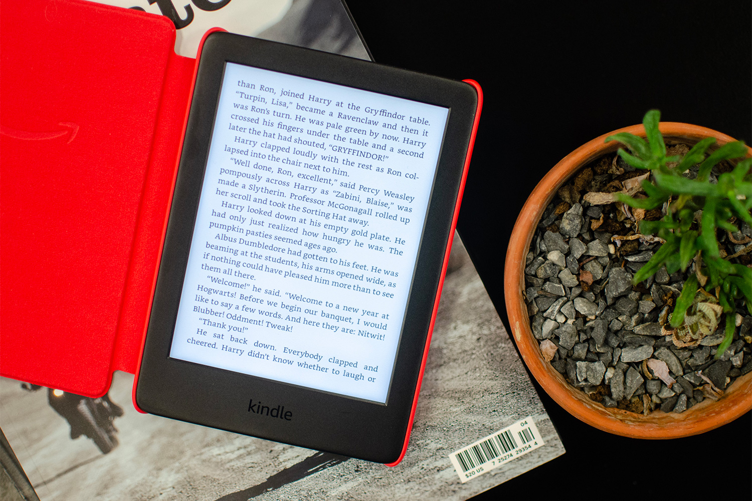 How to Read Public Library books on Kindle E-Readers using Libby - The  Neverending Field Trip
