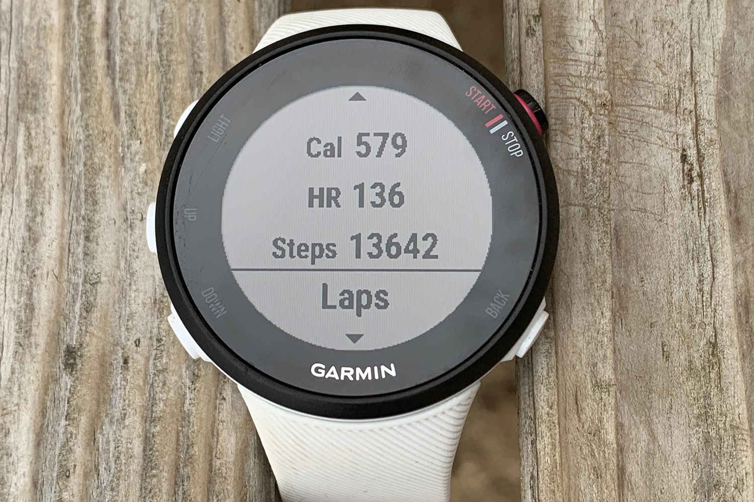 Review garmin forerunner online 45s