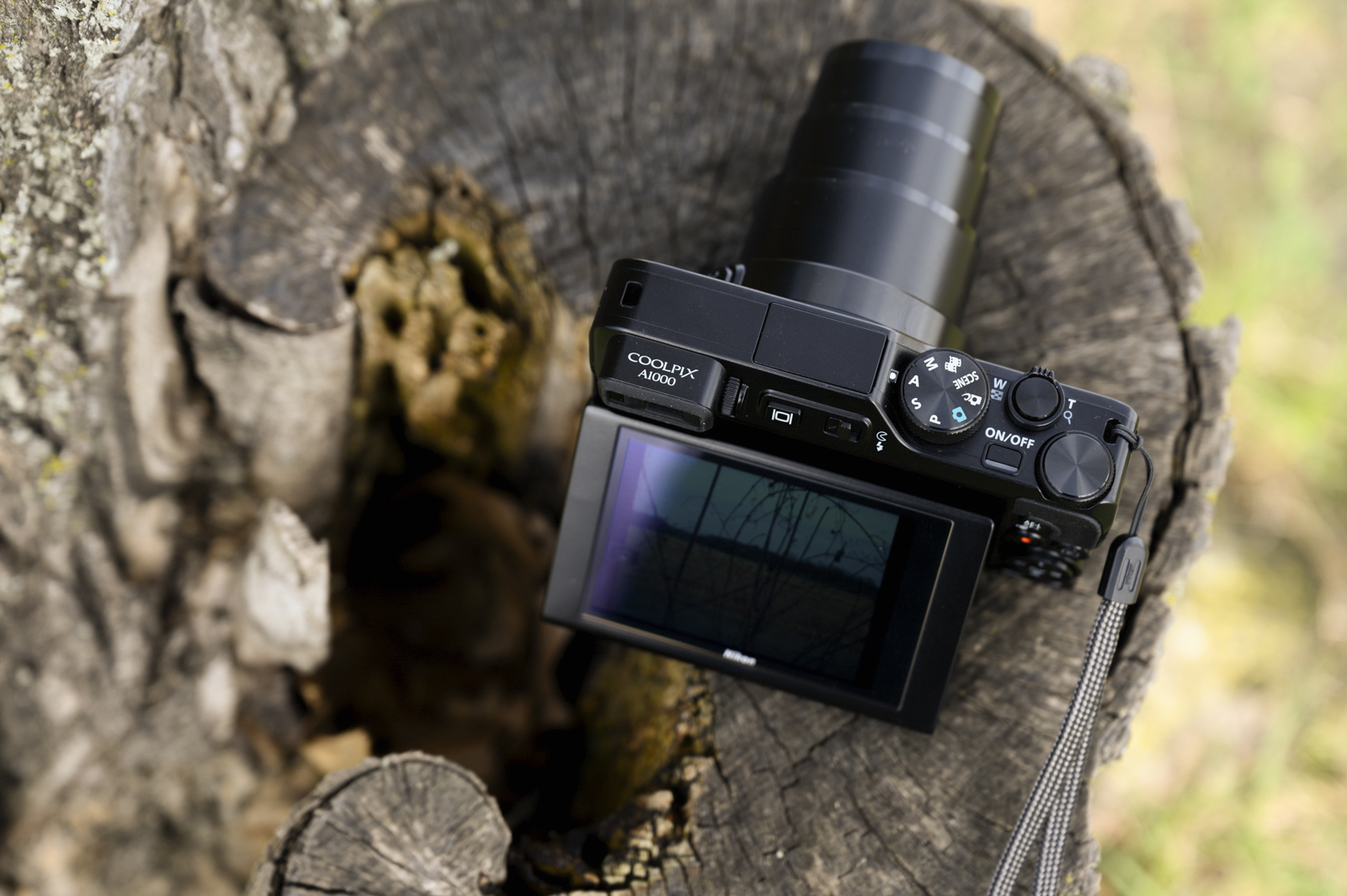 Nikon Coolpix A1000 Review: Versatile Zoom Meets Comfortable ...
