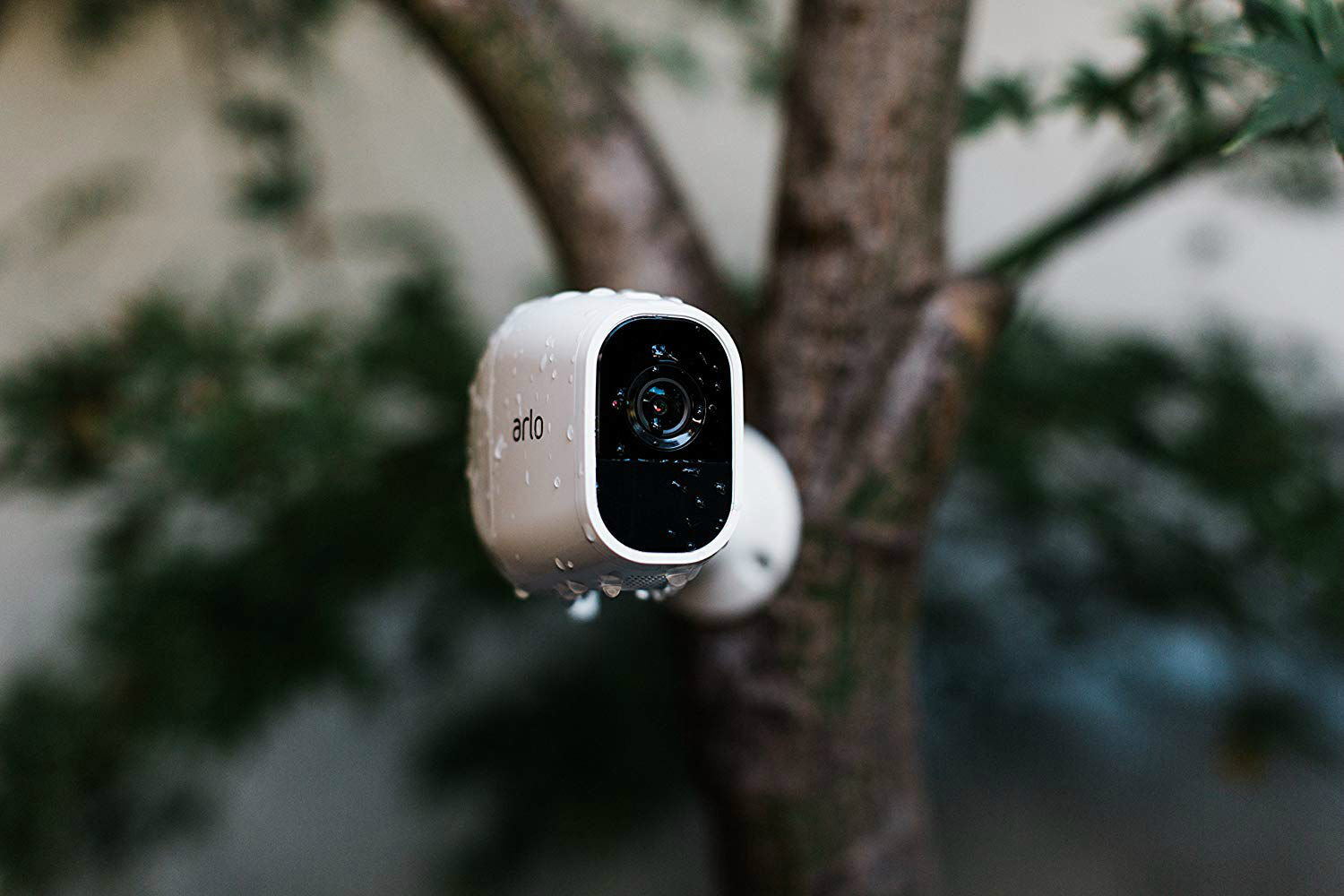 security cameras for trees