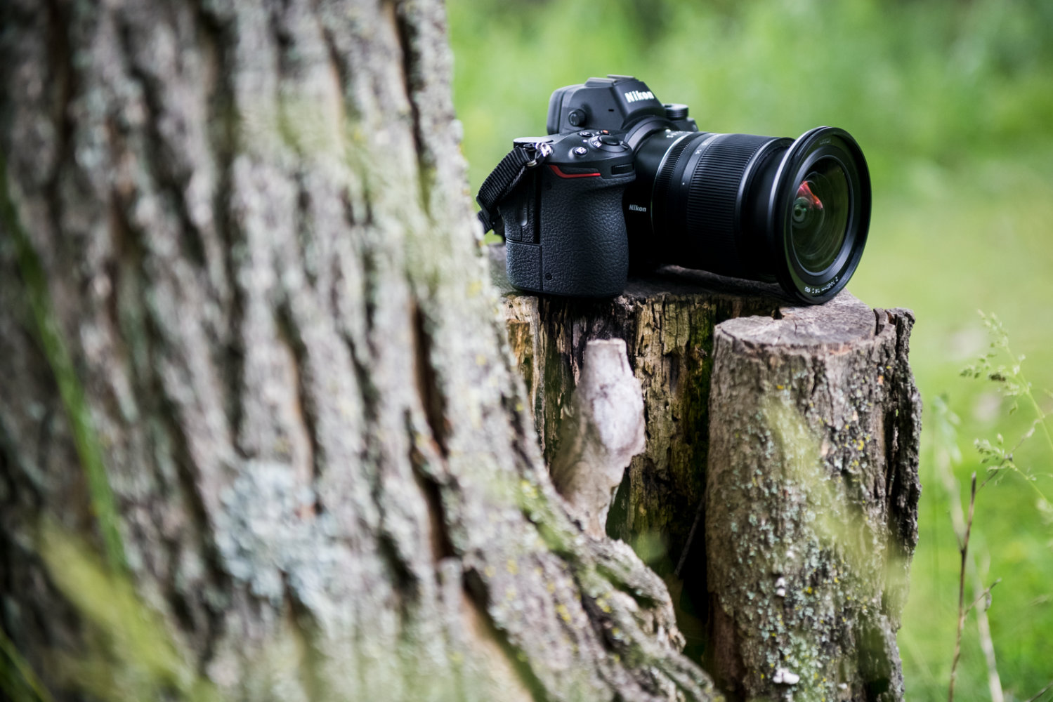 Nikon Nikkor Z 14-30mm F/4 S Review | A Compact Ultra-Wide ...