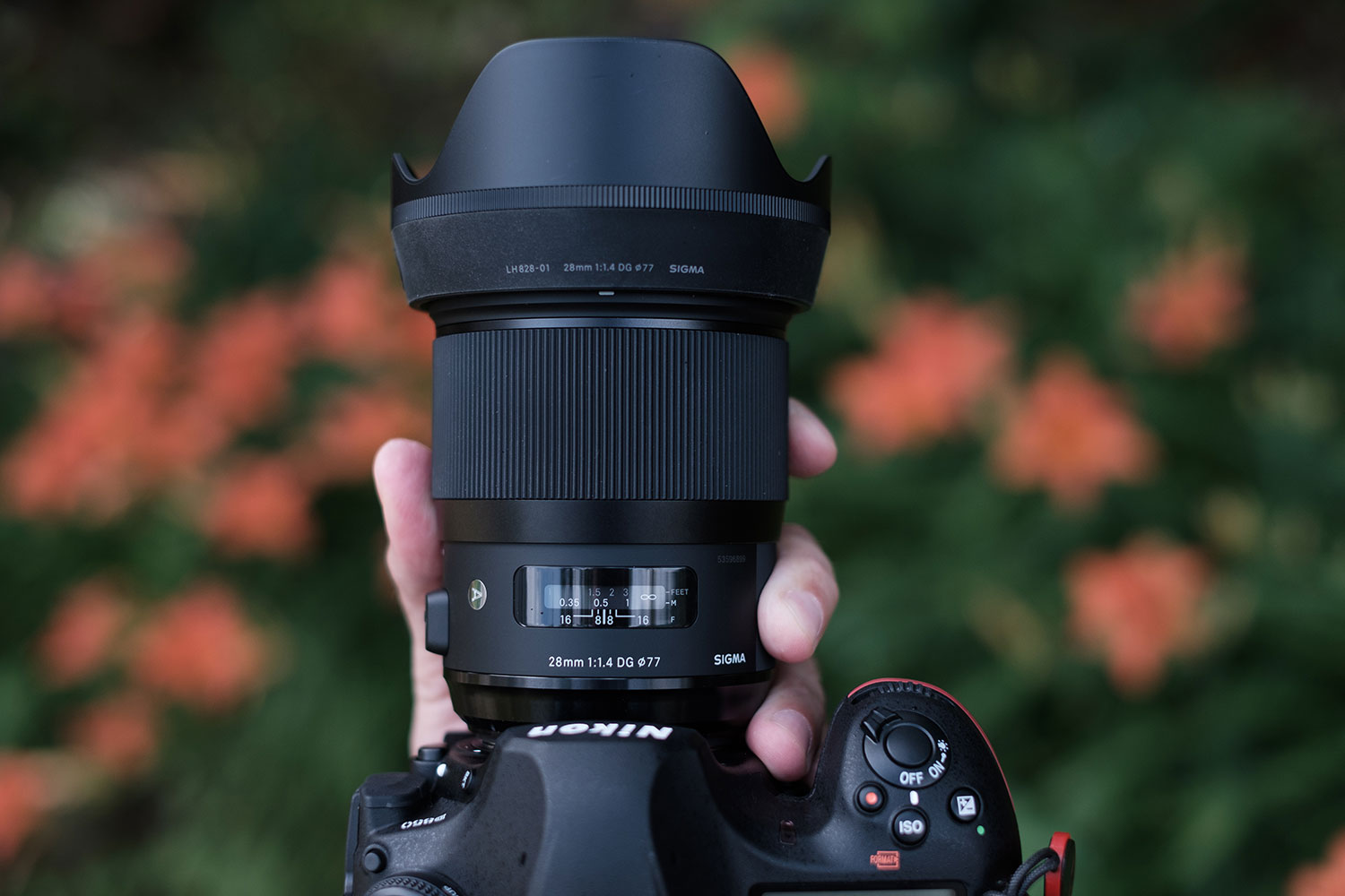Sigma 28mm F1.4 Art Lens Review | Fast, Wide, and Sharp | Digital