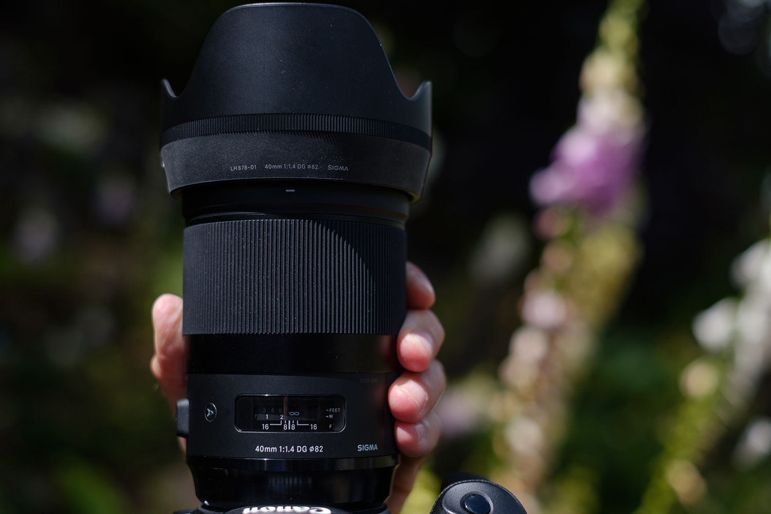 Sigma 40mm F1.4 Art Lens Review | Nearly Perfect | Digital Trends