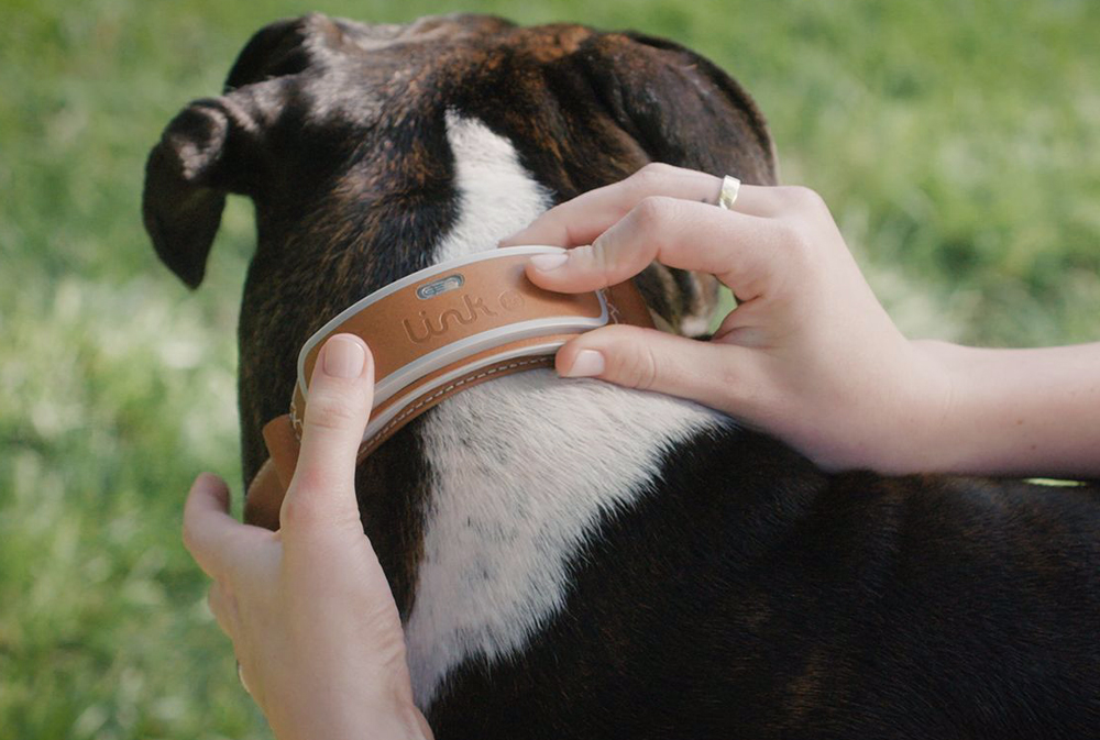 Link akc smart dog collar with gps outlet tracker