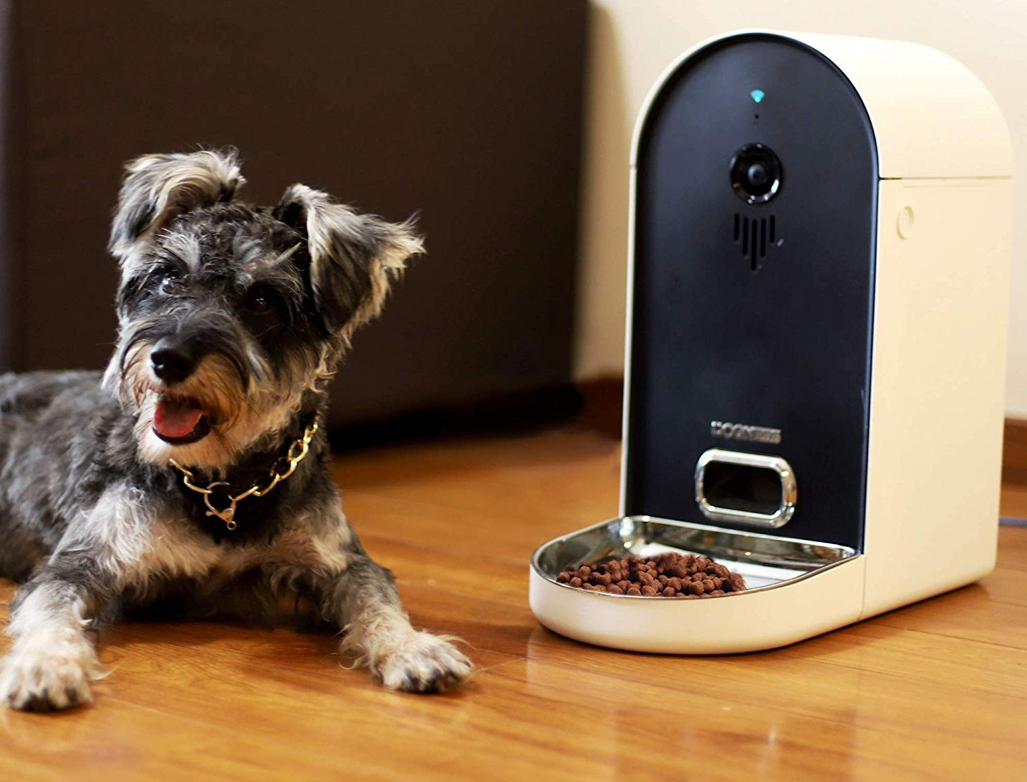 dogness smart camera feeder