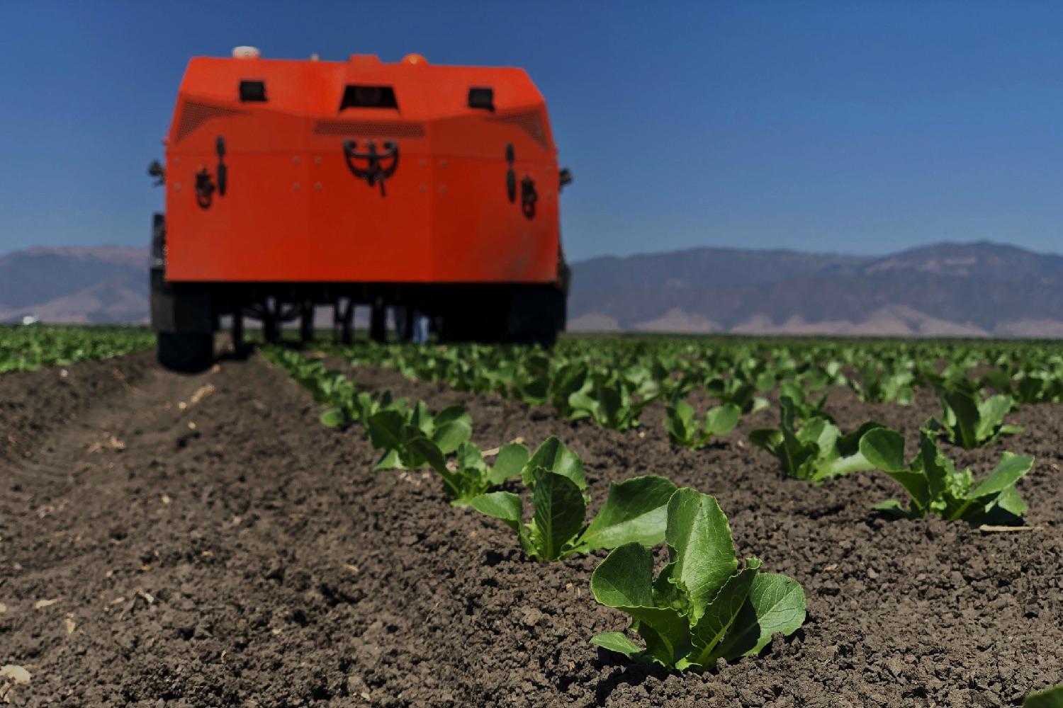 Autonomous Weed-Killing Robots Are Coming To A Farm Near You | Digital ...