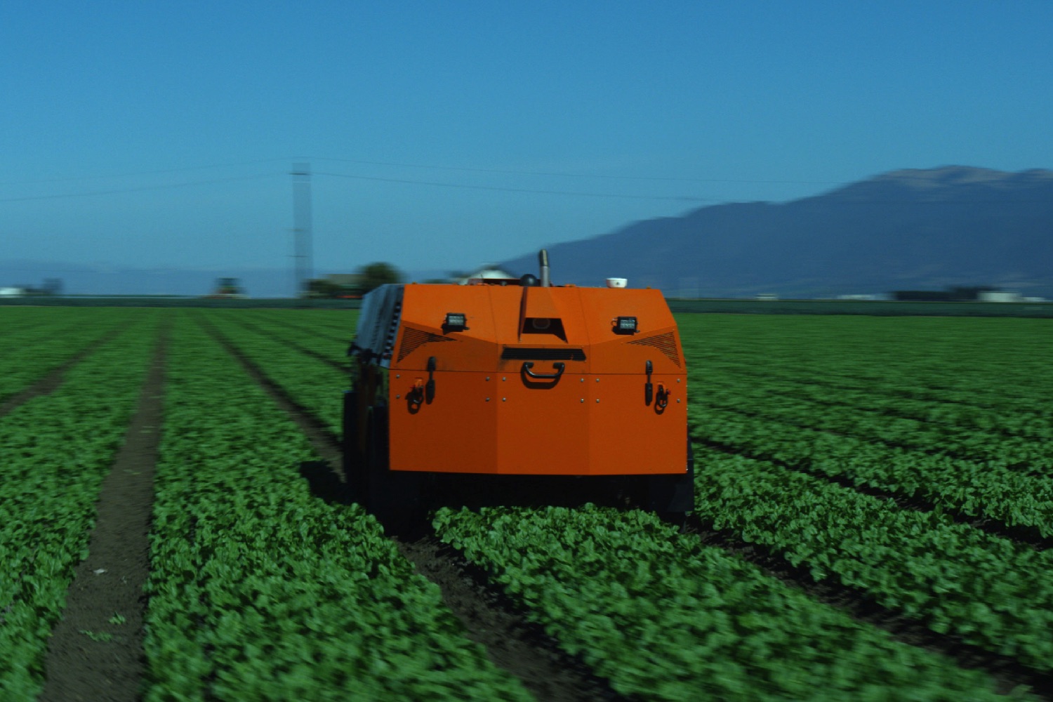 Autonomous Weed-Killing Robots Are Coming To A Farm Near You | Digital ...