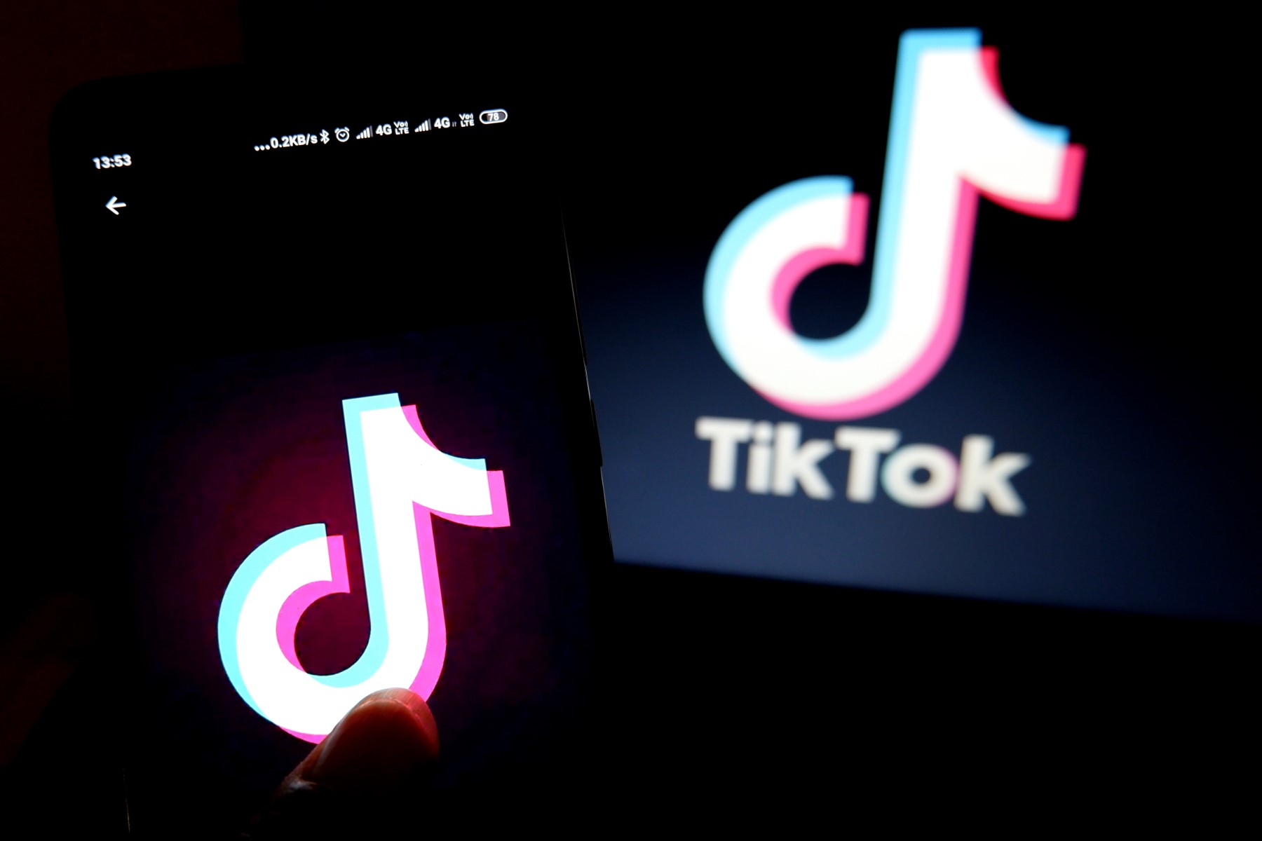can you do a face reveal please｜TikTok Search