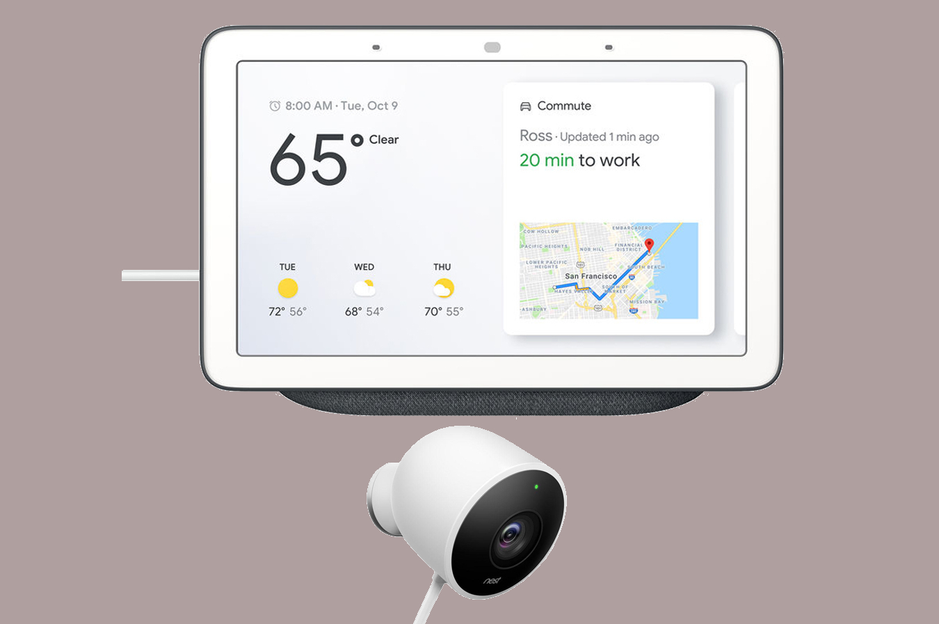 What security cameras work store with google home hub