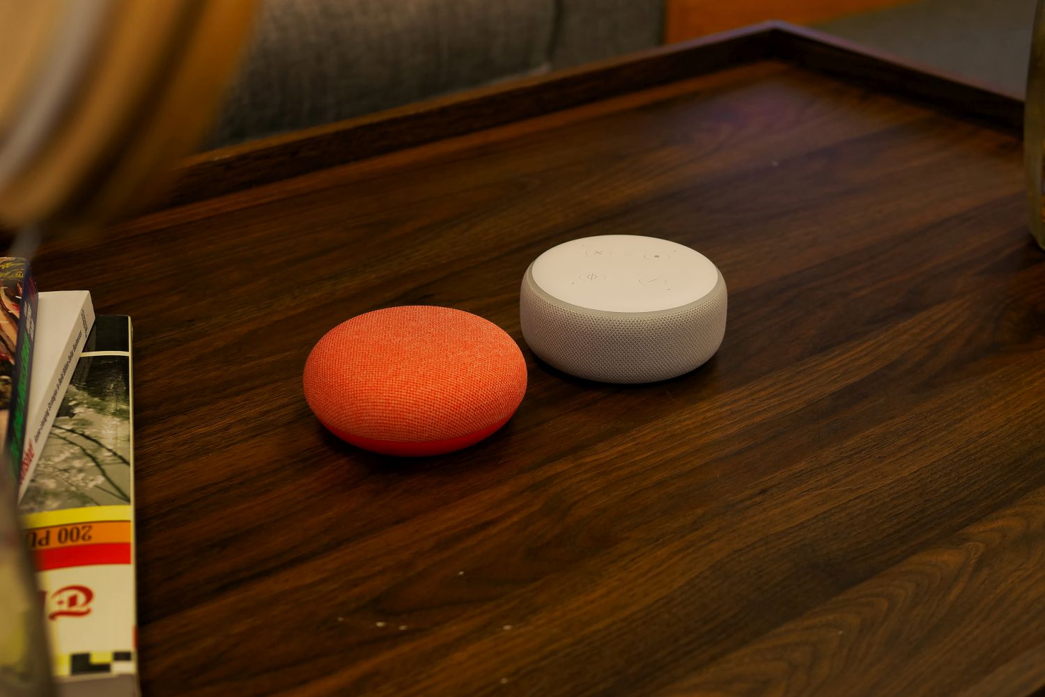 Google Nest Mini vs  Echo Dot 