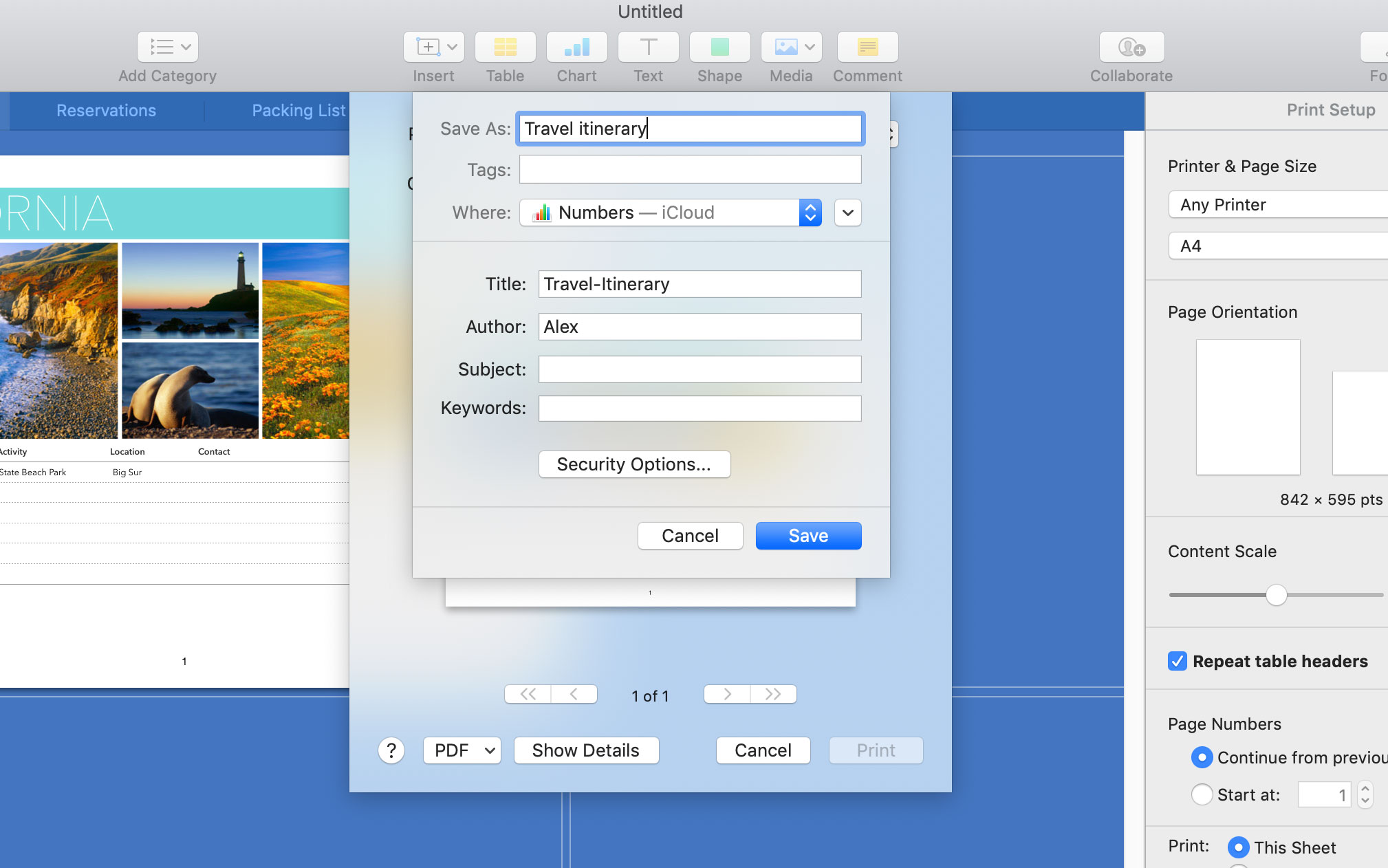 How to print to PDF in MacOS