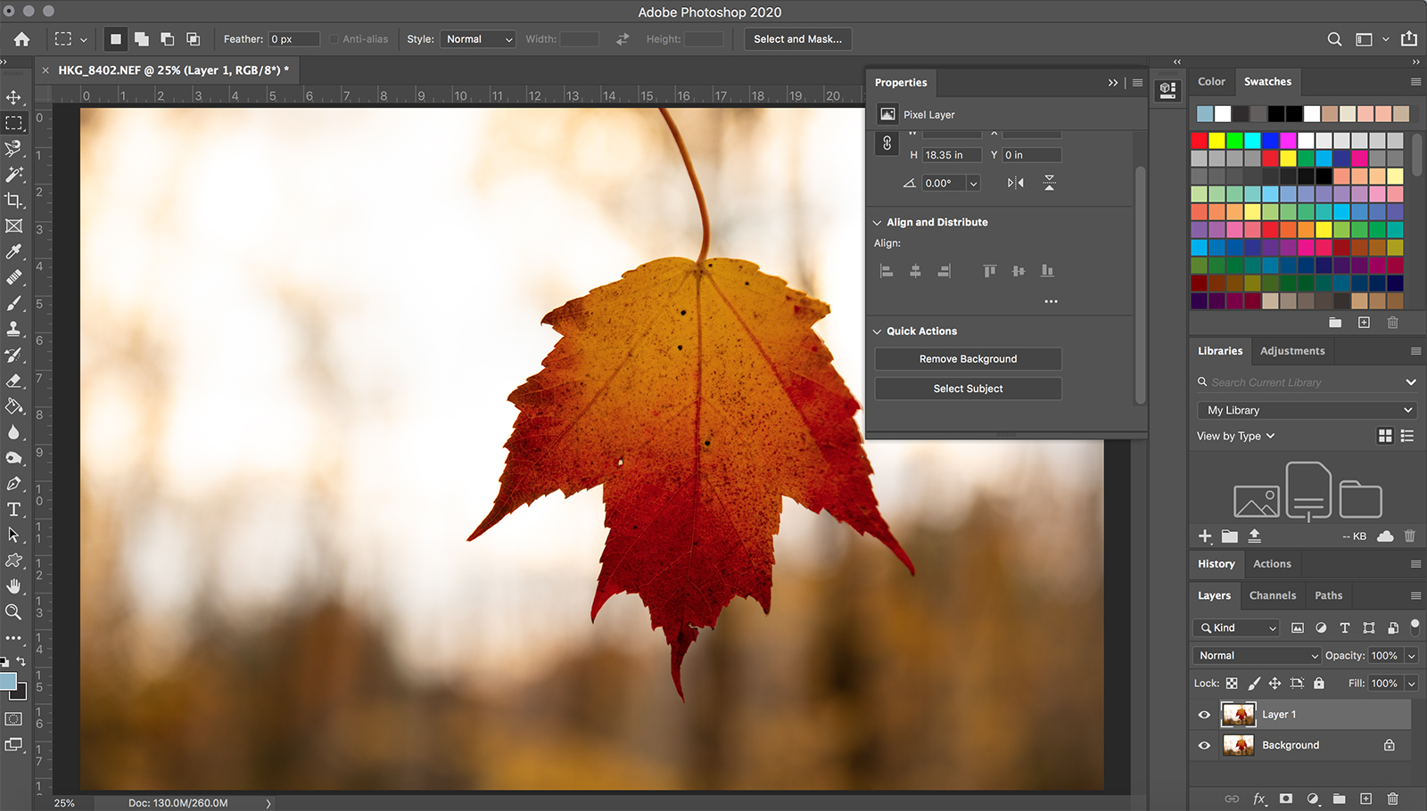 How to Remove the White Background from an Image to Make it Transparent in  Photoshop