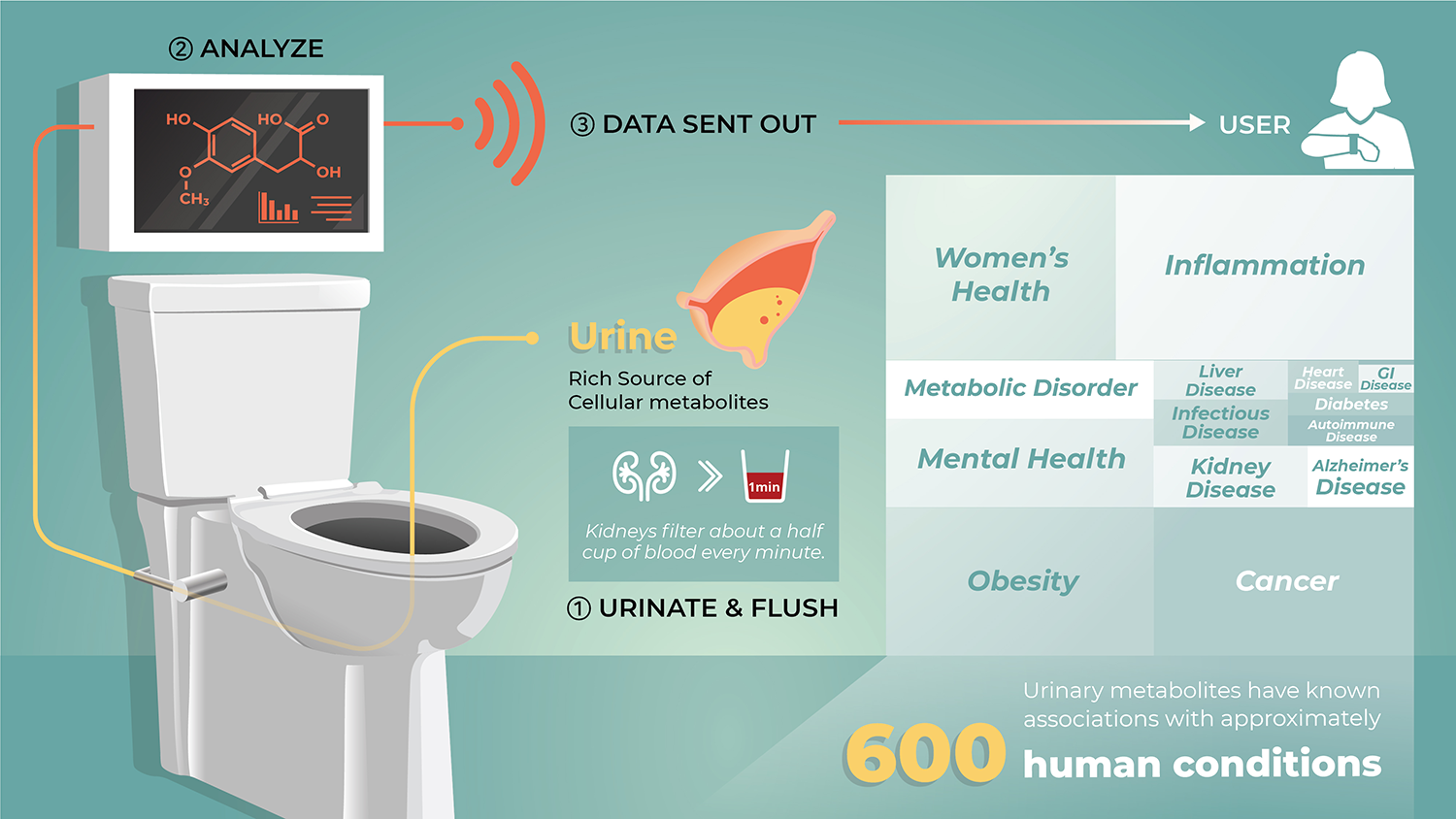 Here's how smart toilets of the future could protect your health