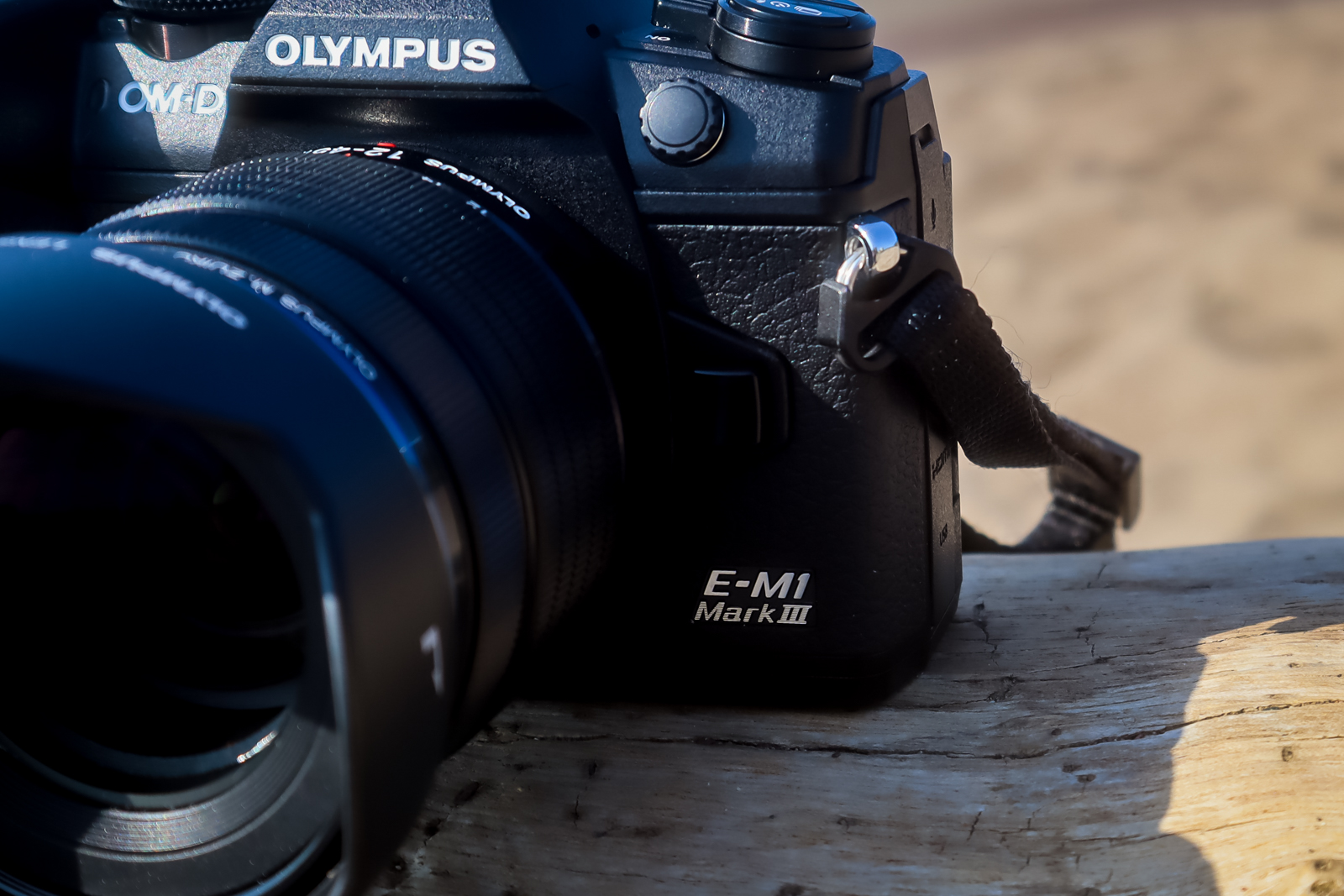 Olympus OM-D E-M1 Mark III Review: Best Travel Camera? | Digital Trends