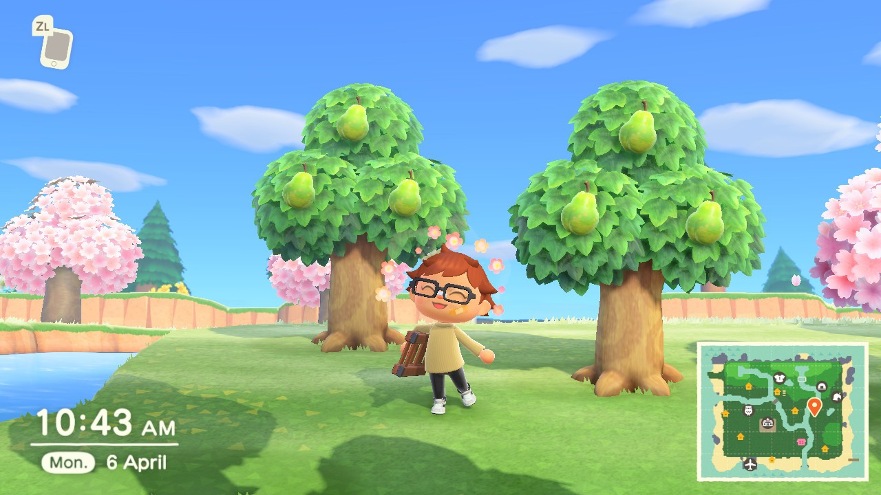 Cherry blossom season in Animal Crossing: New Horizons- Dates, features,  items and more
