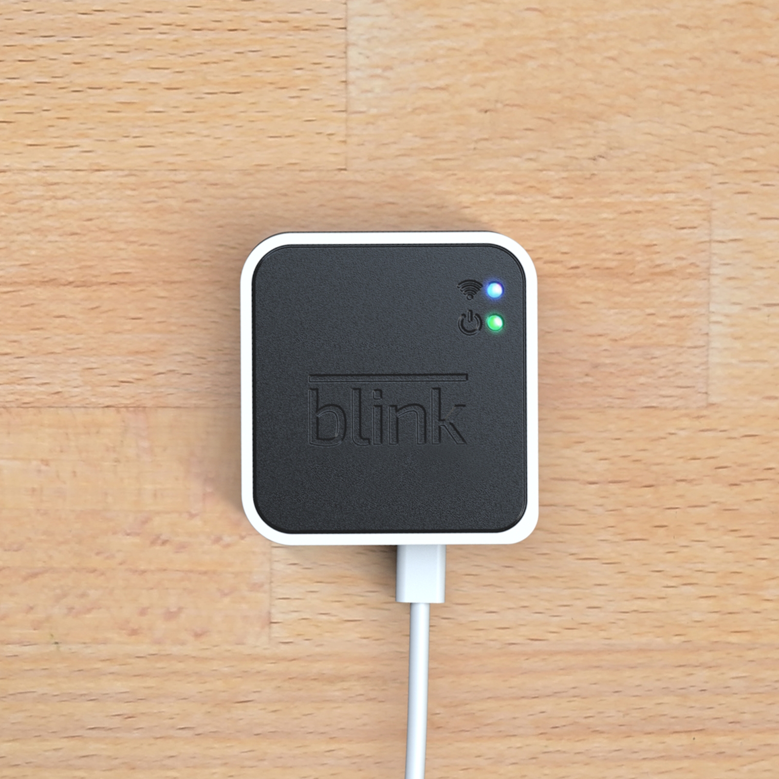 Blink sync sale module setup