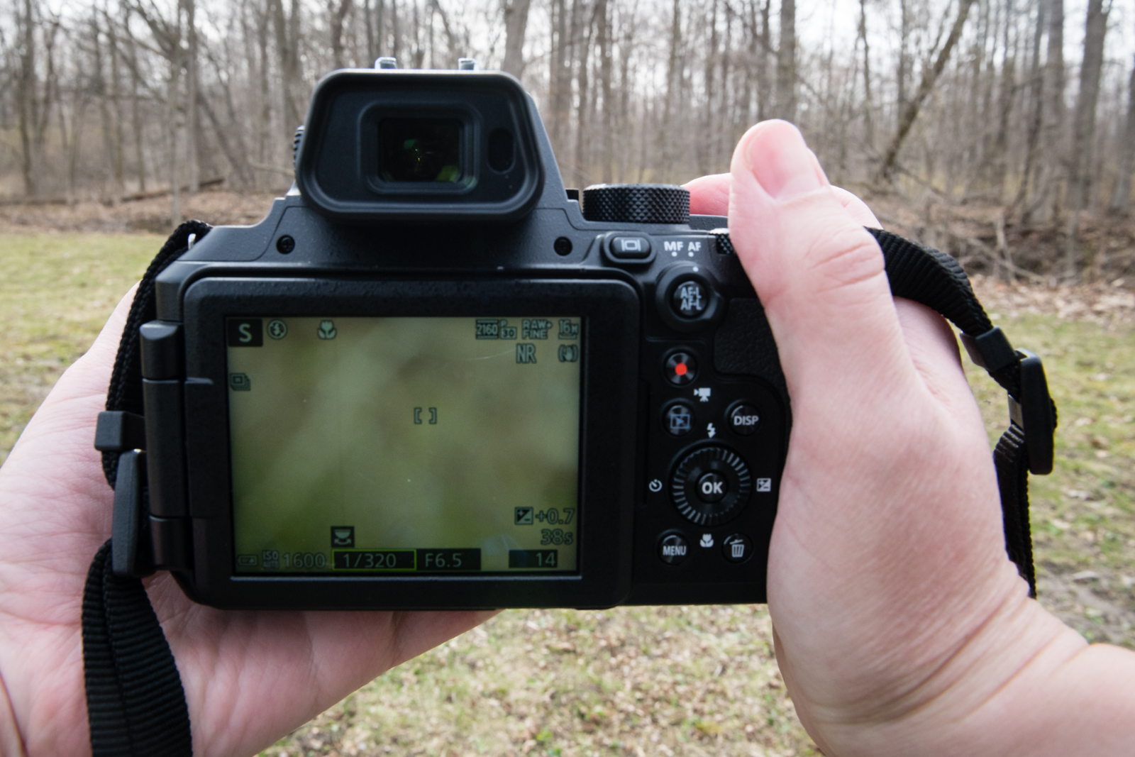 Nikon deals p950 review