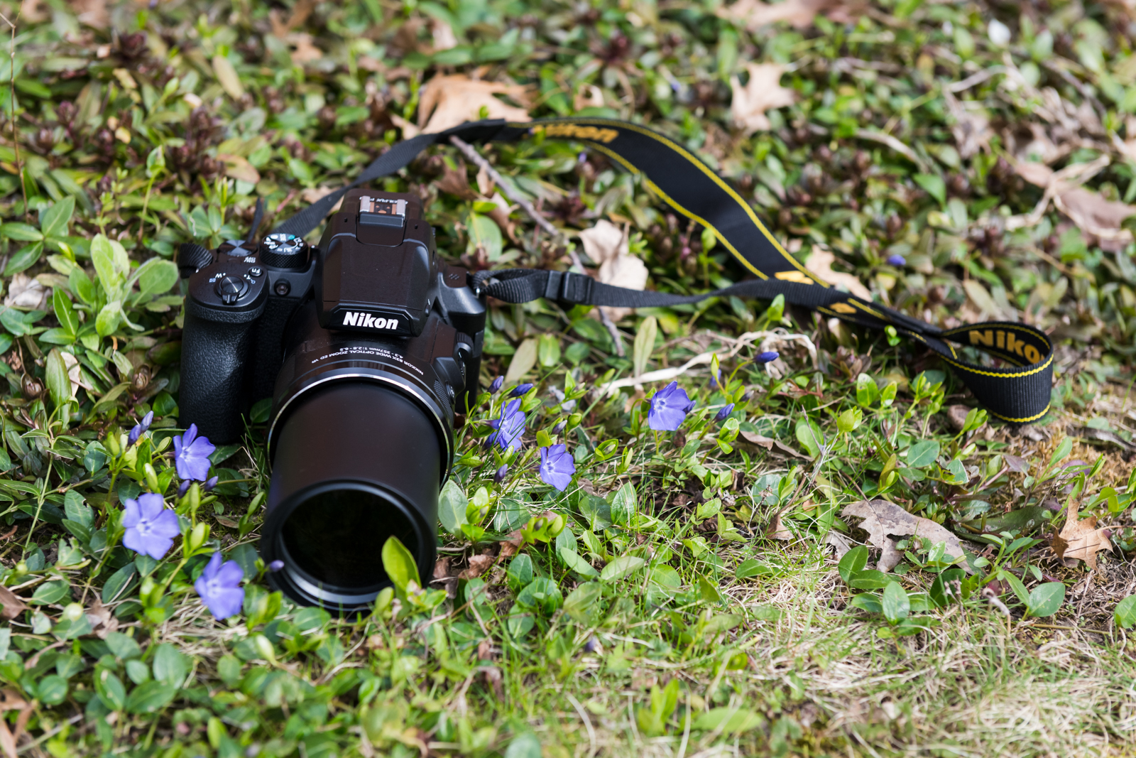 Nikon Coolpix P950 Review: Epic Zoom That's Easy to Use | Digital