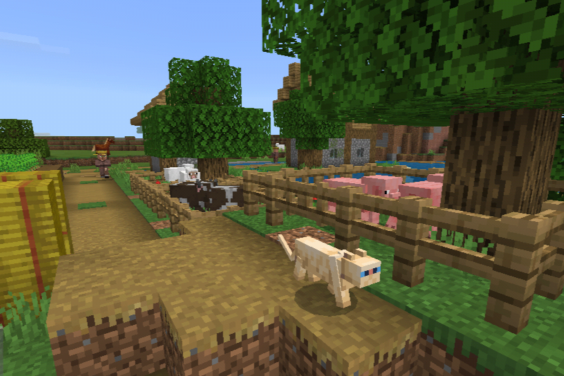 How To Get Cats To Spawn In Minecraft