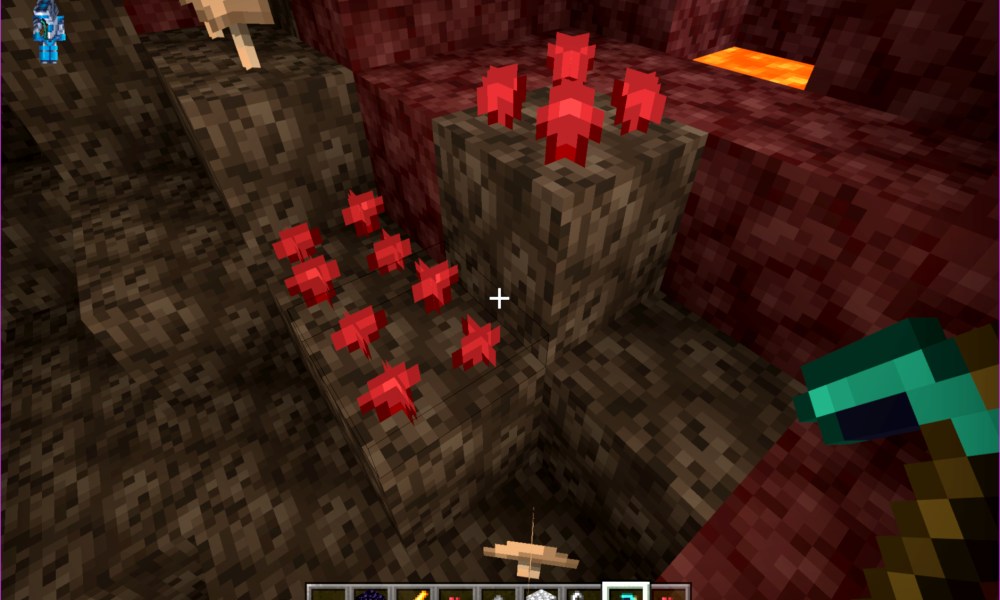 Minecraft Soul Sand and Nether Wart