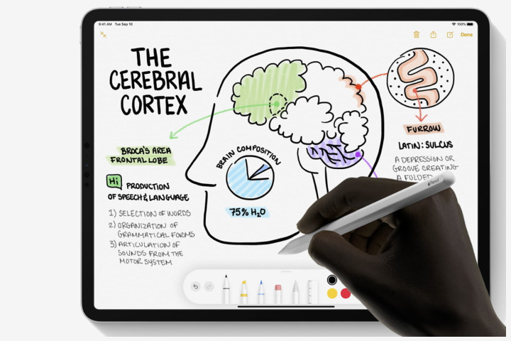 Picture shows a hand writing and drawing on an iPad using an Apple Pencil