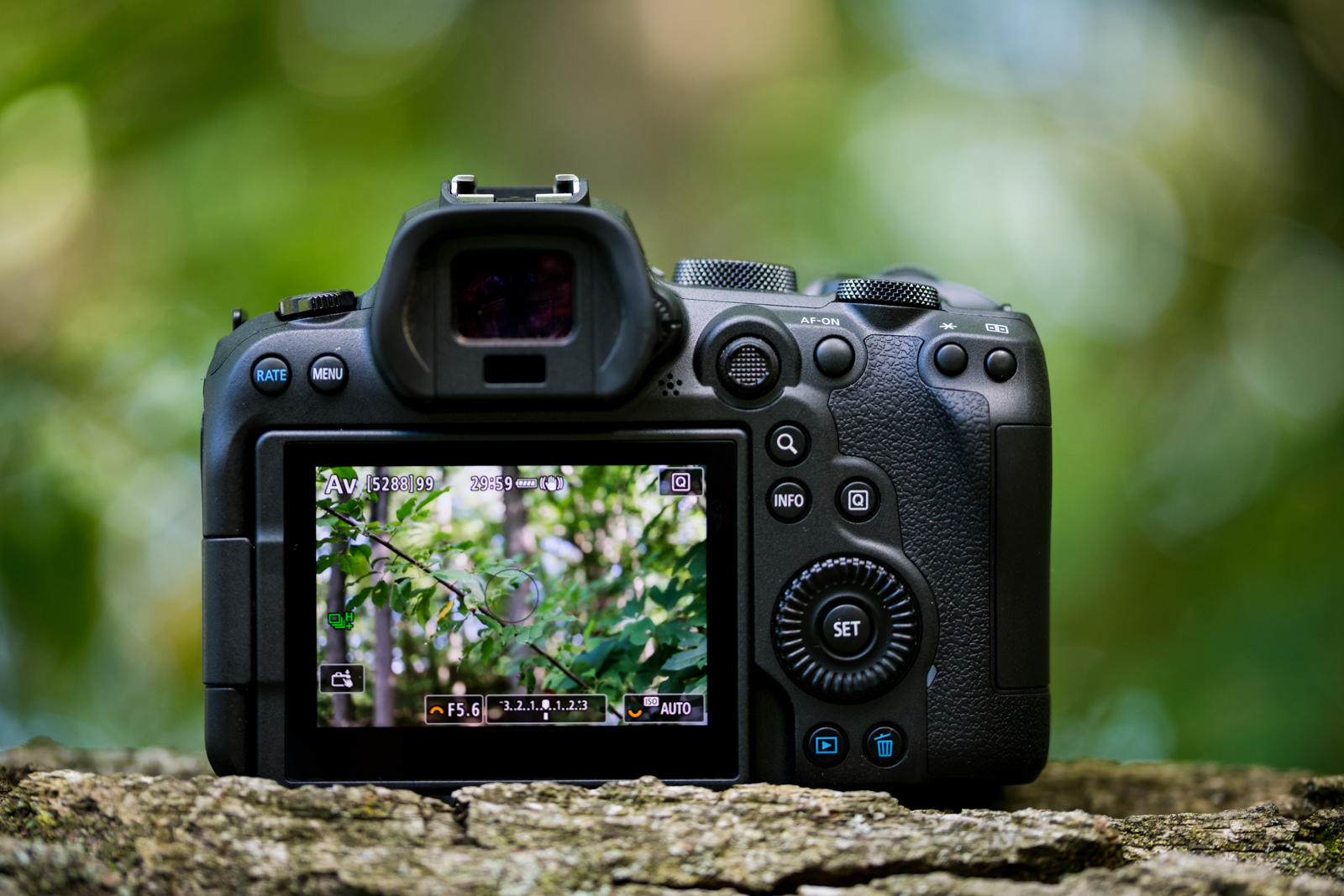 Una cámara mirrorless Canon EOS R6 instalada en el bosque.