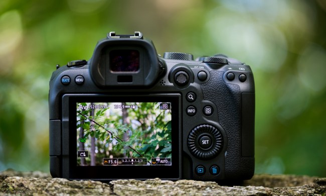 Canon EOS R6 vs R6 Mark II - The 10 Main Differences and Full Comparison -  Mirrorless Comparison