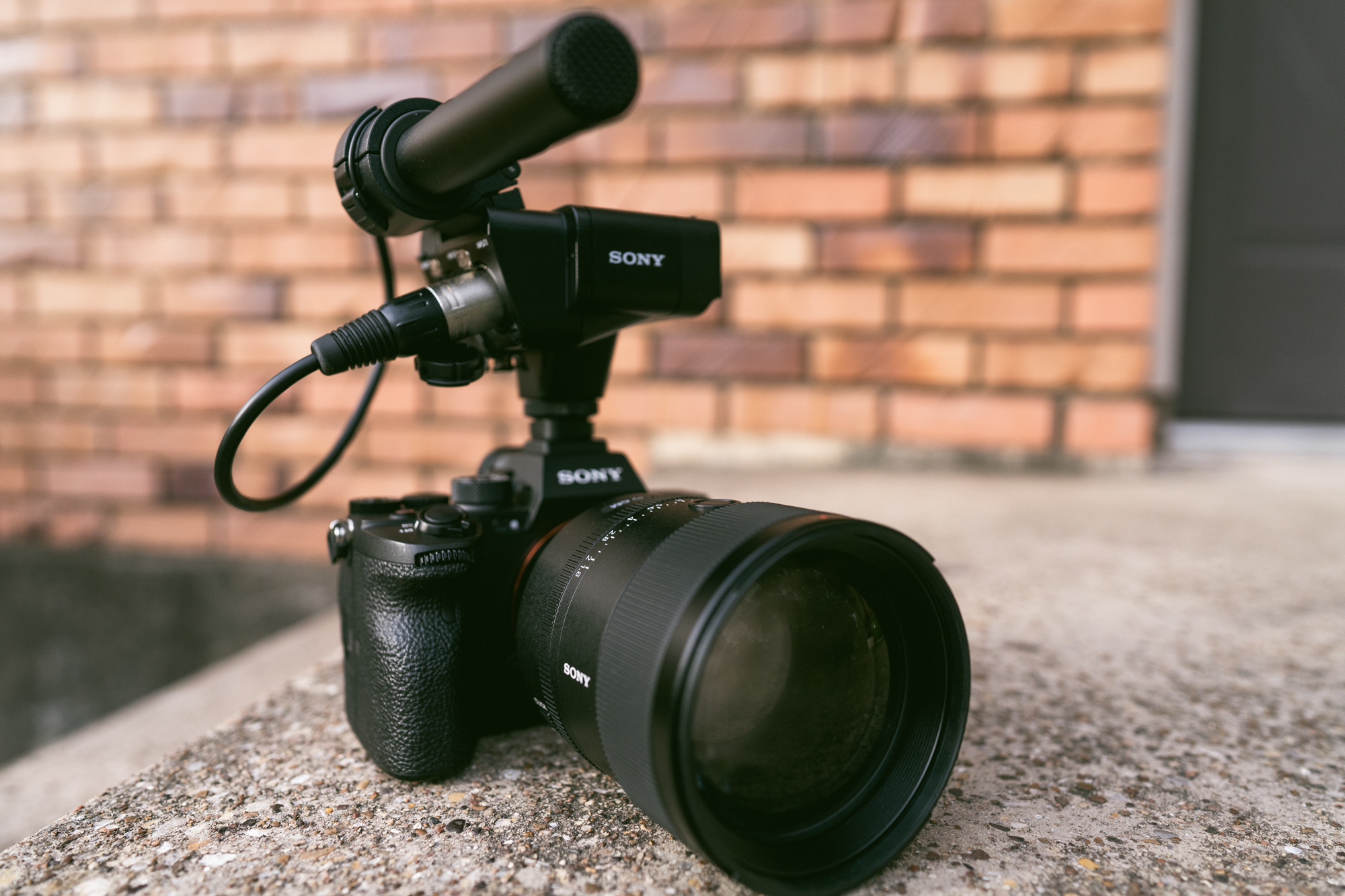 best digital video camera for the money