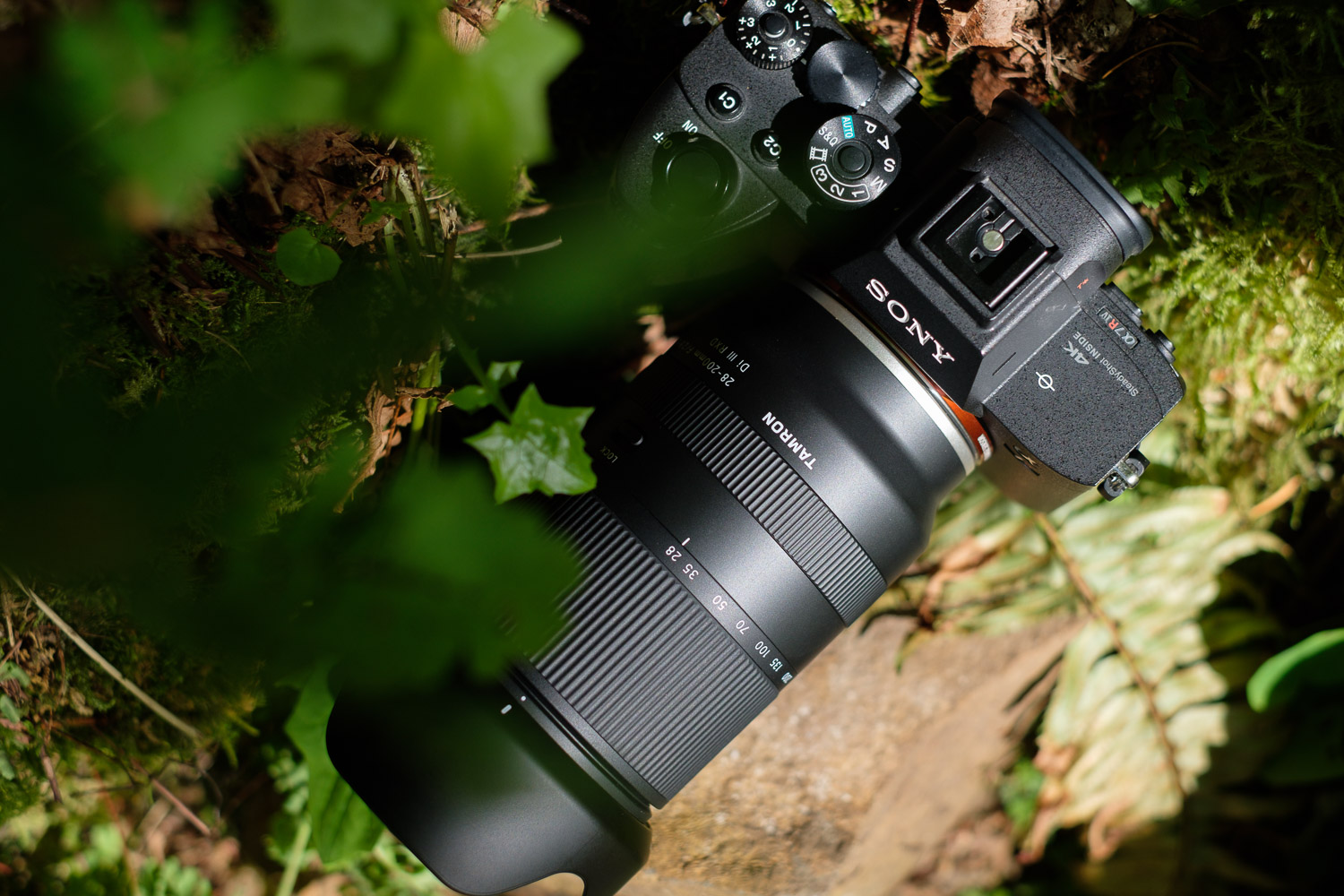 Tamron 28-200mm f/2.8-5.6 Review: A Surprising Superzoom | Digital ...