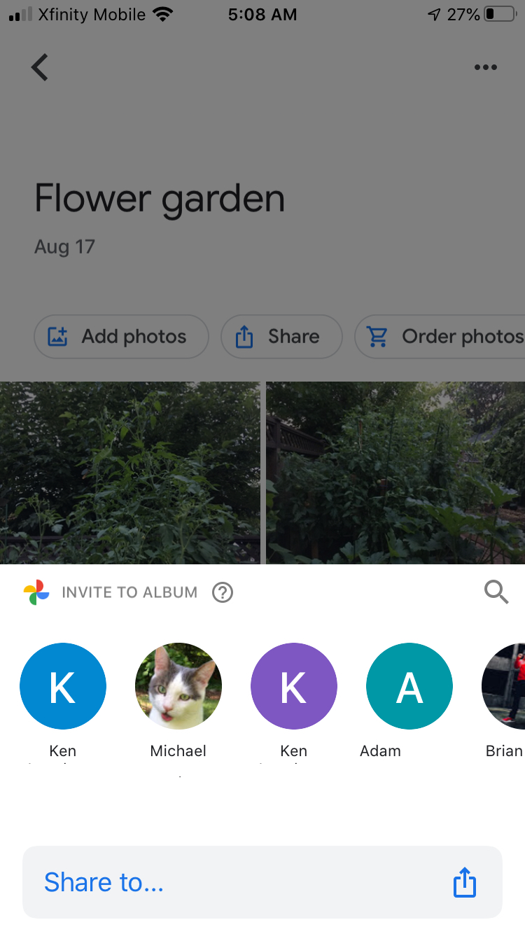 Google Photos: The Best Tips And Tricks | Digital Trends