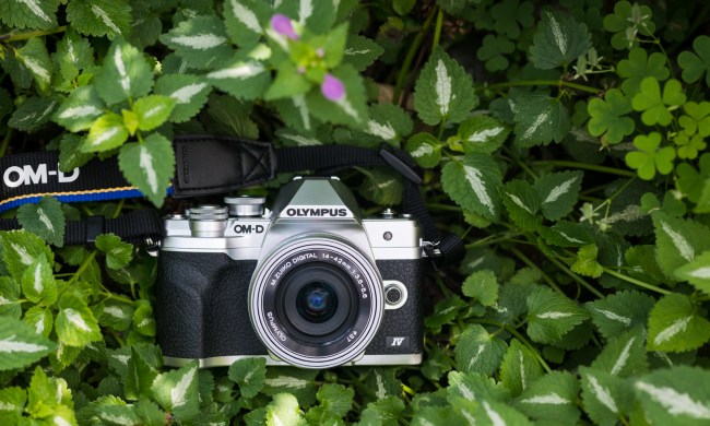 olympus om d e m10 mark iv announced 0864