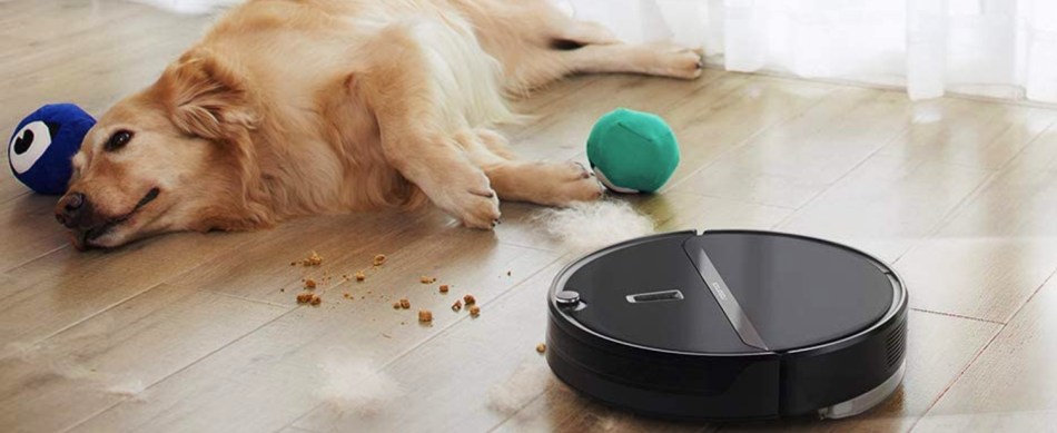 Roborock E4 Robot Vacuum Cleaner near dog.