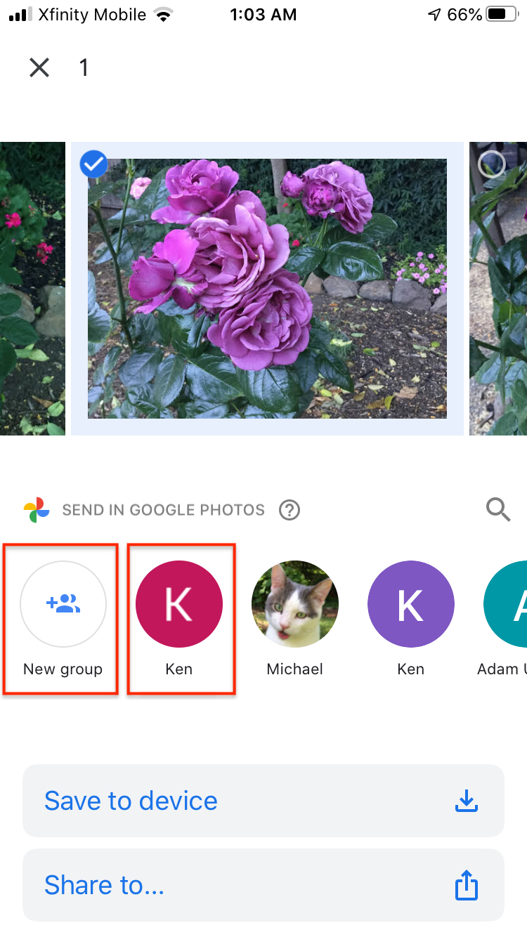 Google Photos: The Best Tips And Tricks | Digital Trends