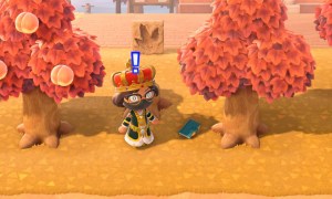 Animal crossing new horizons lost item