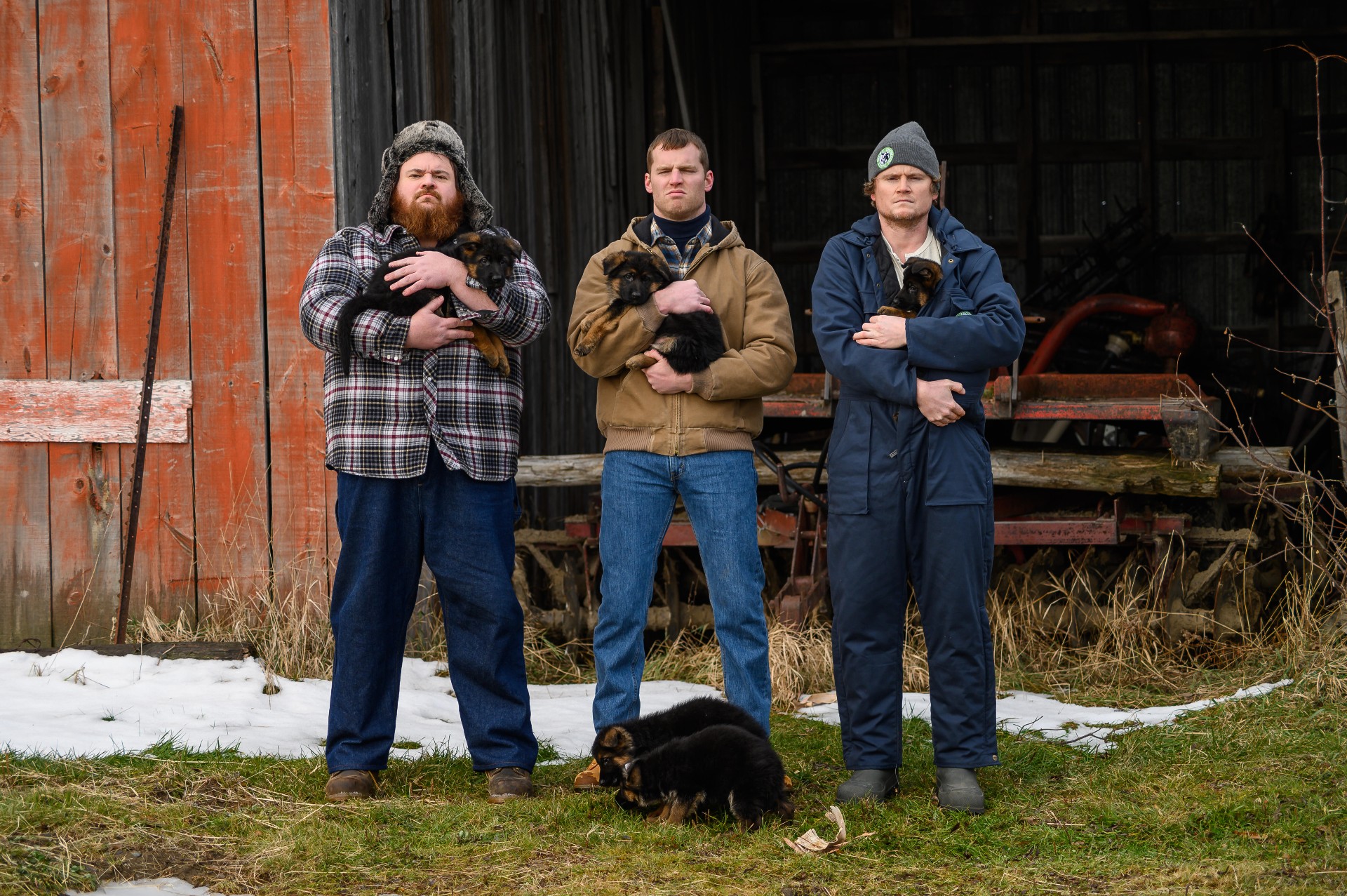 Letterkenny amazon sales prime video