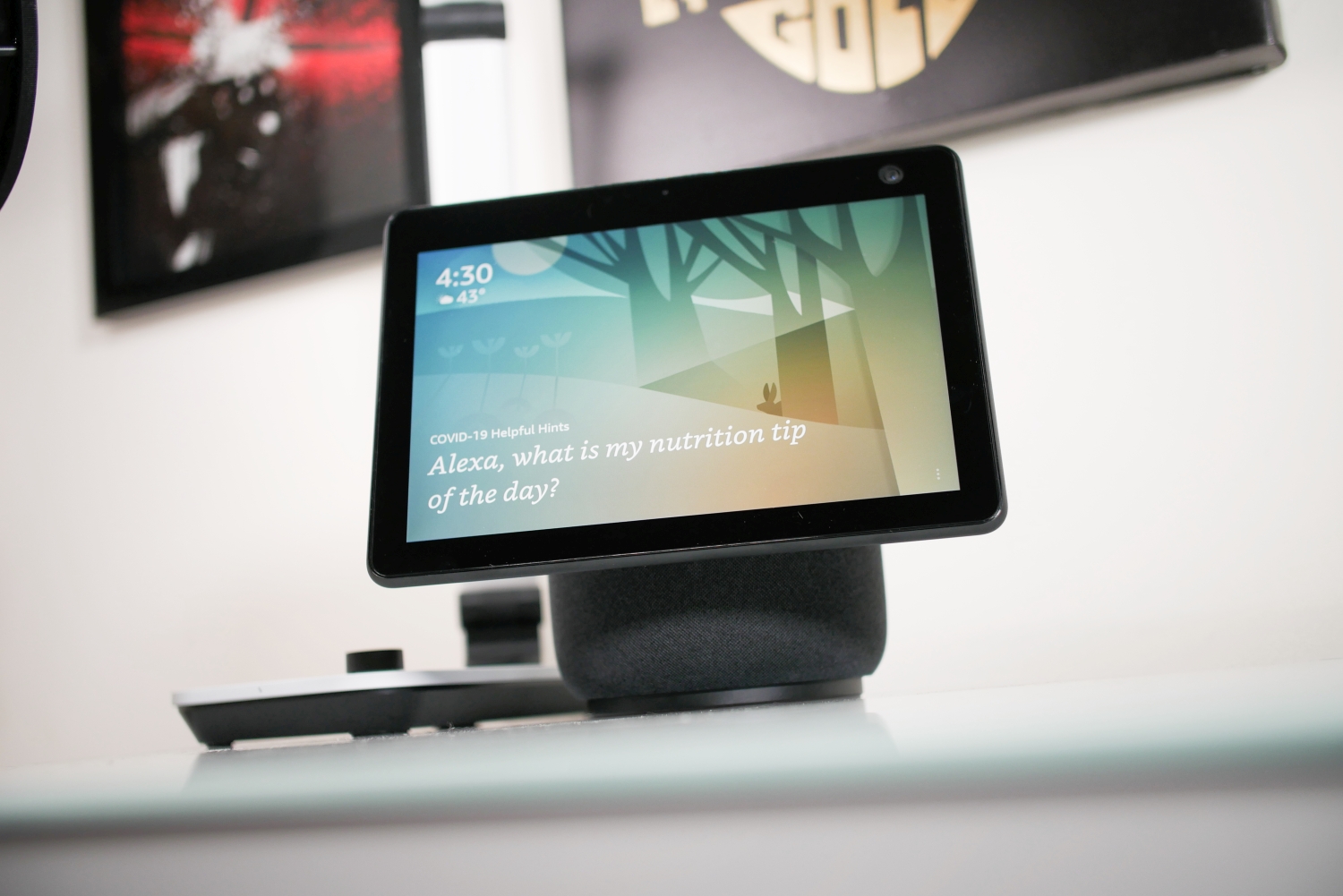 Built-In Screen Sets  Echo Show Apart From Smart-Home Hub Rivals