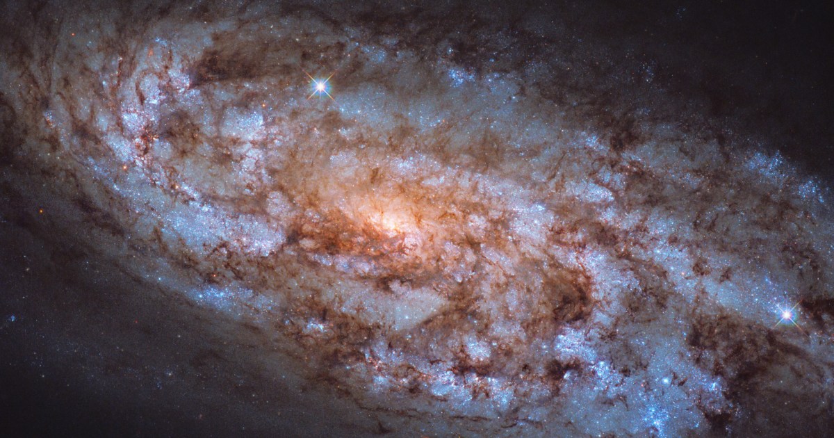 Hubble Captures Image of Busy Star Factory, Galaxy NGC 1792 | Digital ...