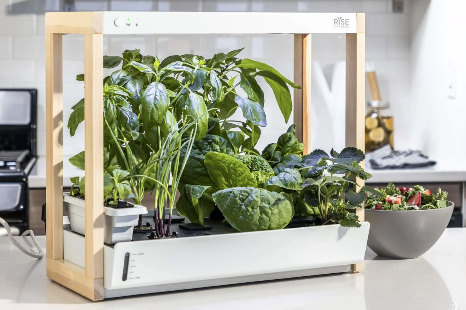 Personal Rise Garden review grow greens in your kitchen Digital