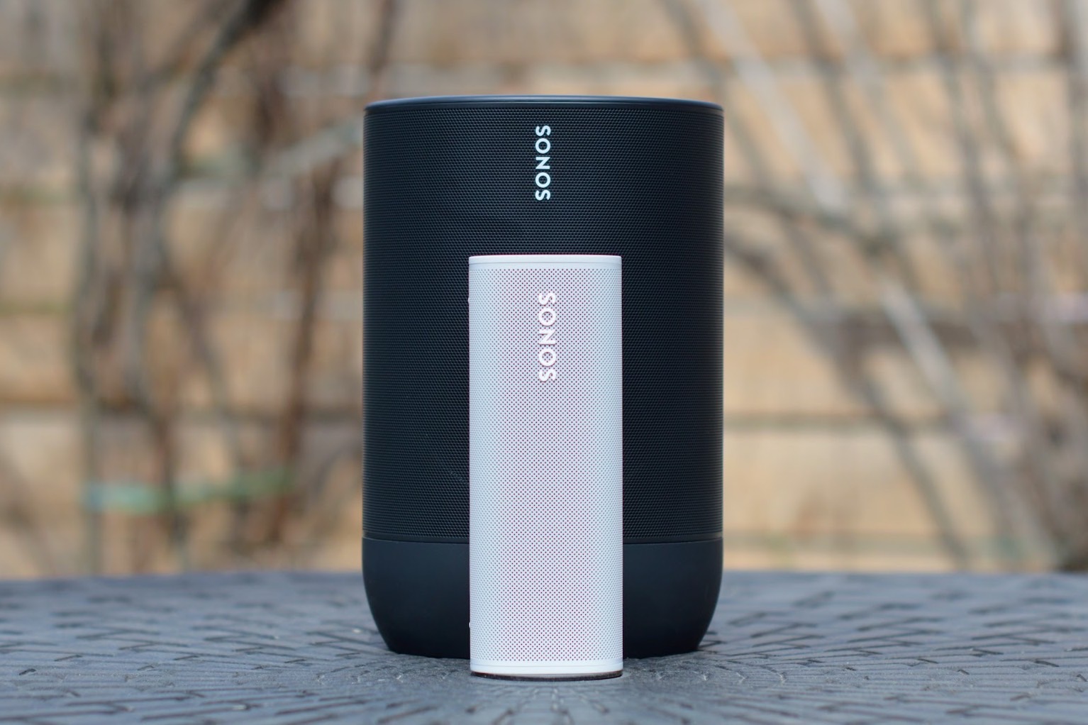 led sonos roam